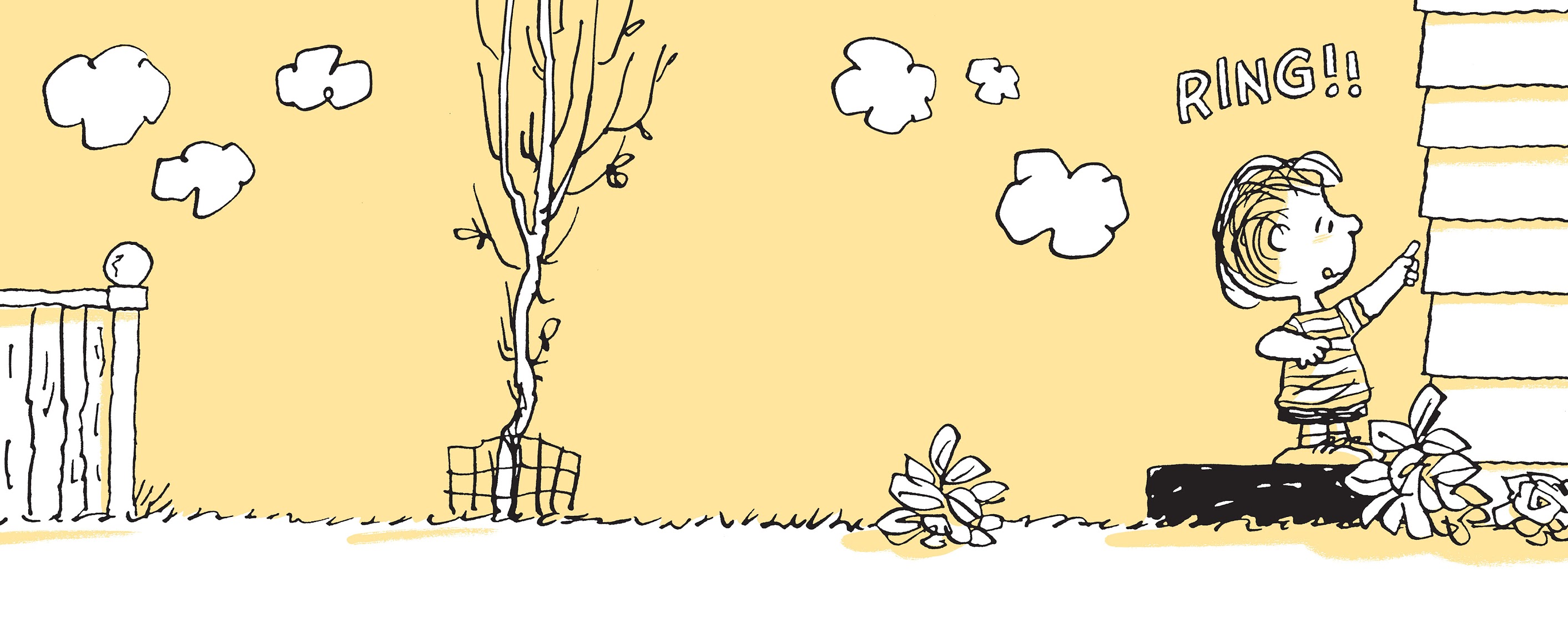 Read online The Complete Peanuts comic -  Issue # TPB 21 - 334