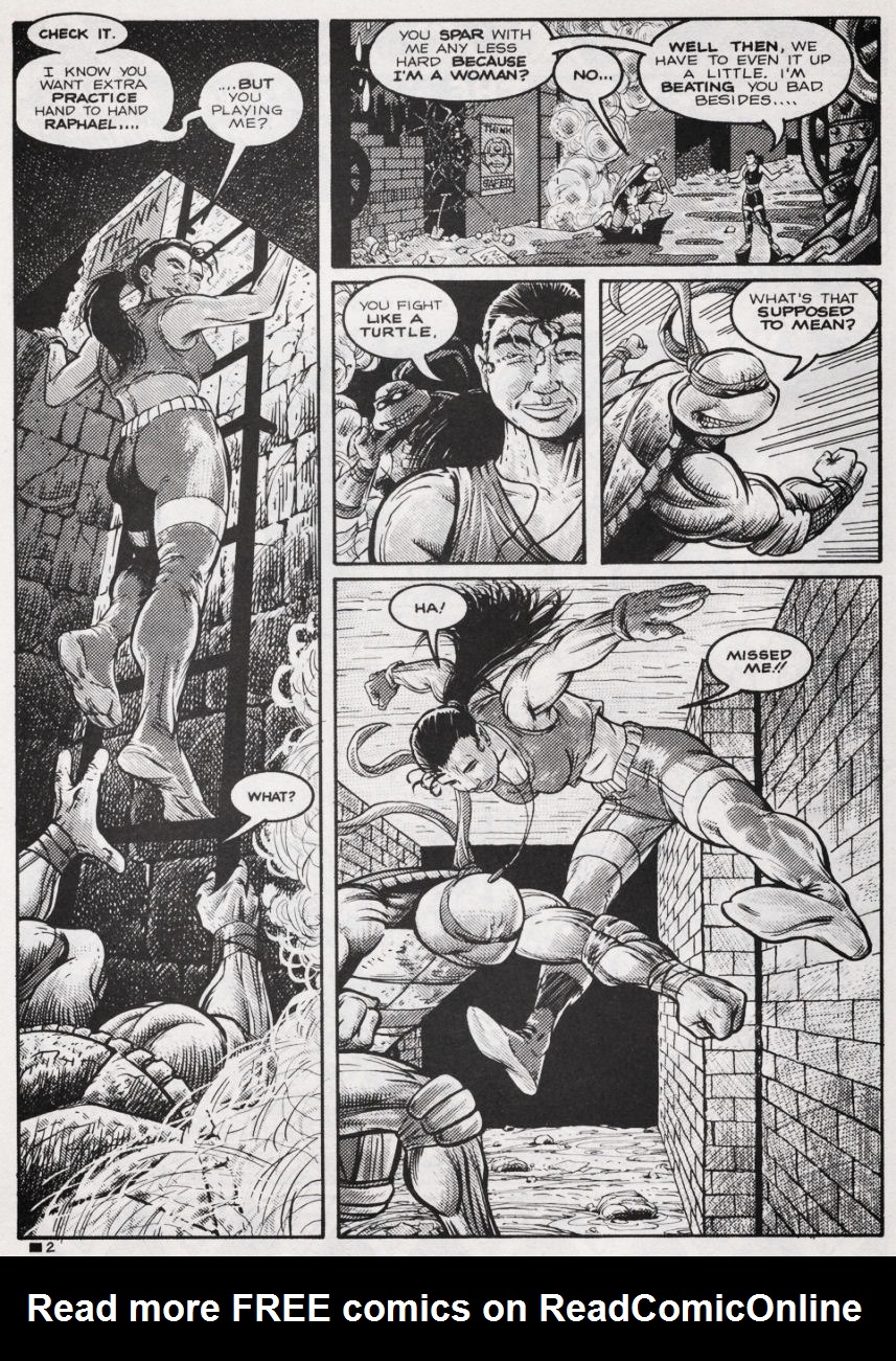 Teenage Mutant Ninja Turtles (1984) Issue #44 #44 - English 3