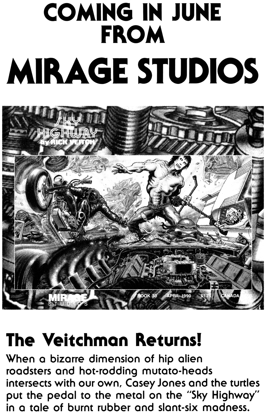 Read online Teenage Mutant Ninja Turtles (1984) comic -  Issue #29 - 35