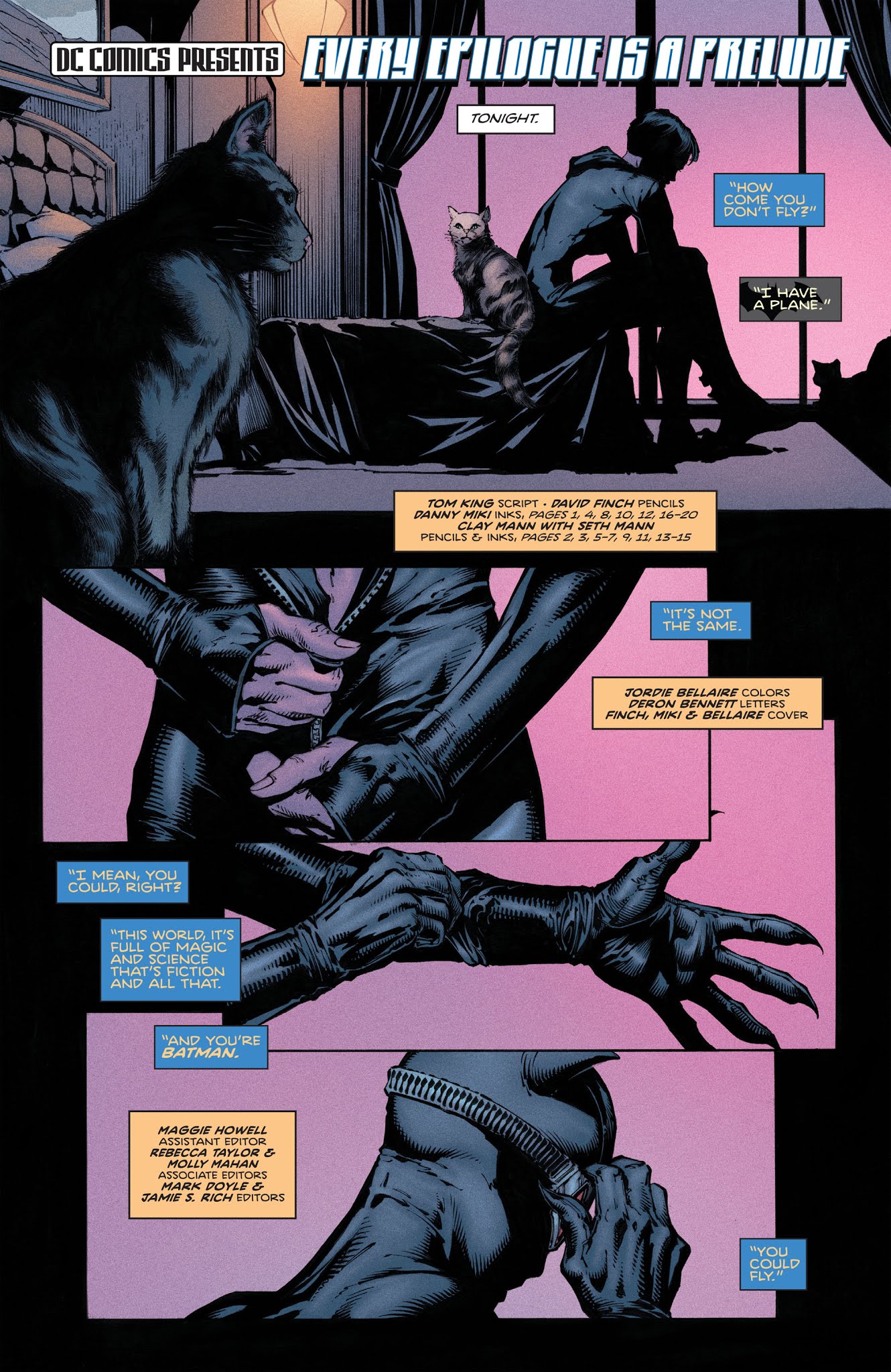 Read online Batman/Catwoman: The Wedding Album: The Deluxe Edition comic -  Issue # TPB - 7