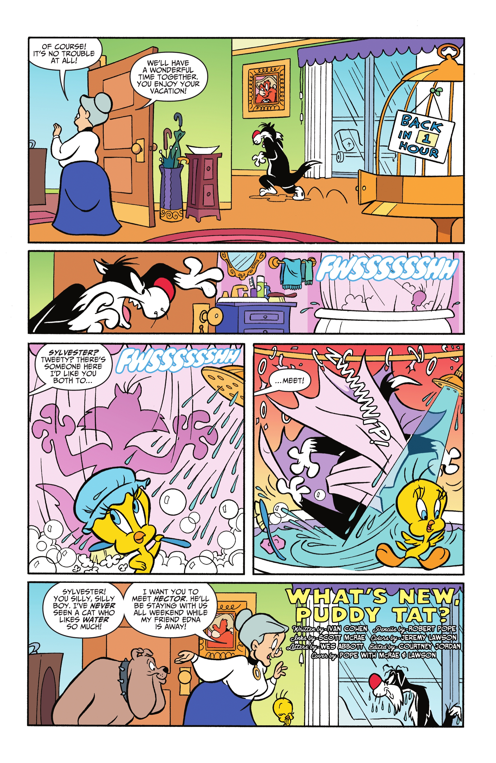 Read online Looney Tunes (1994) comic -  Issue #271 - 2