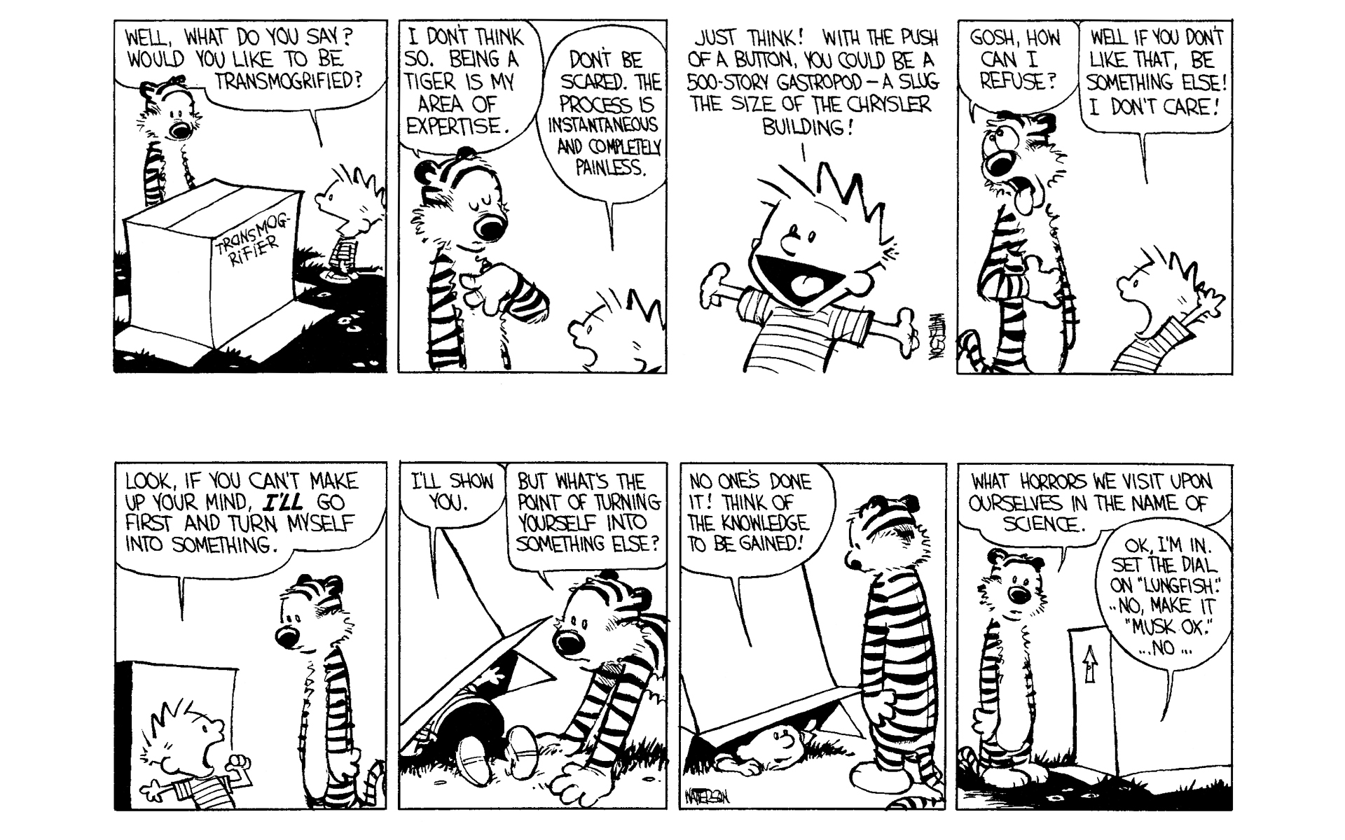 Read online Calvin and Hobbes comic -  Issue #2 - 130