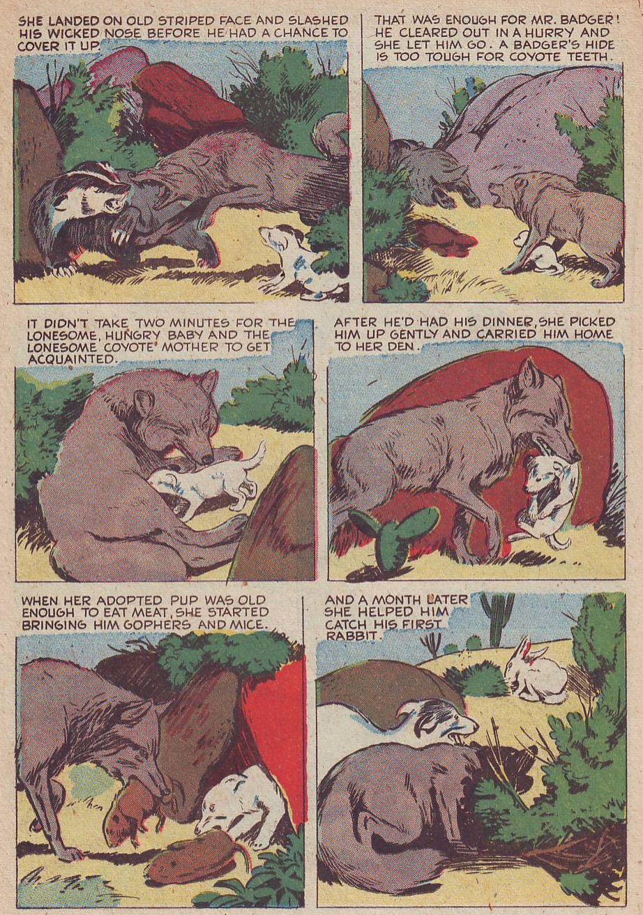 Read online Animal Comics comic -  Issue #30 - 28