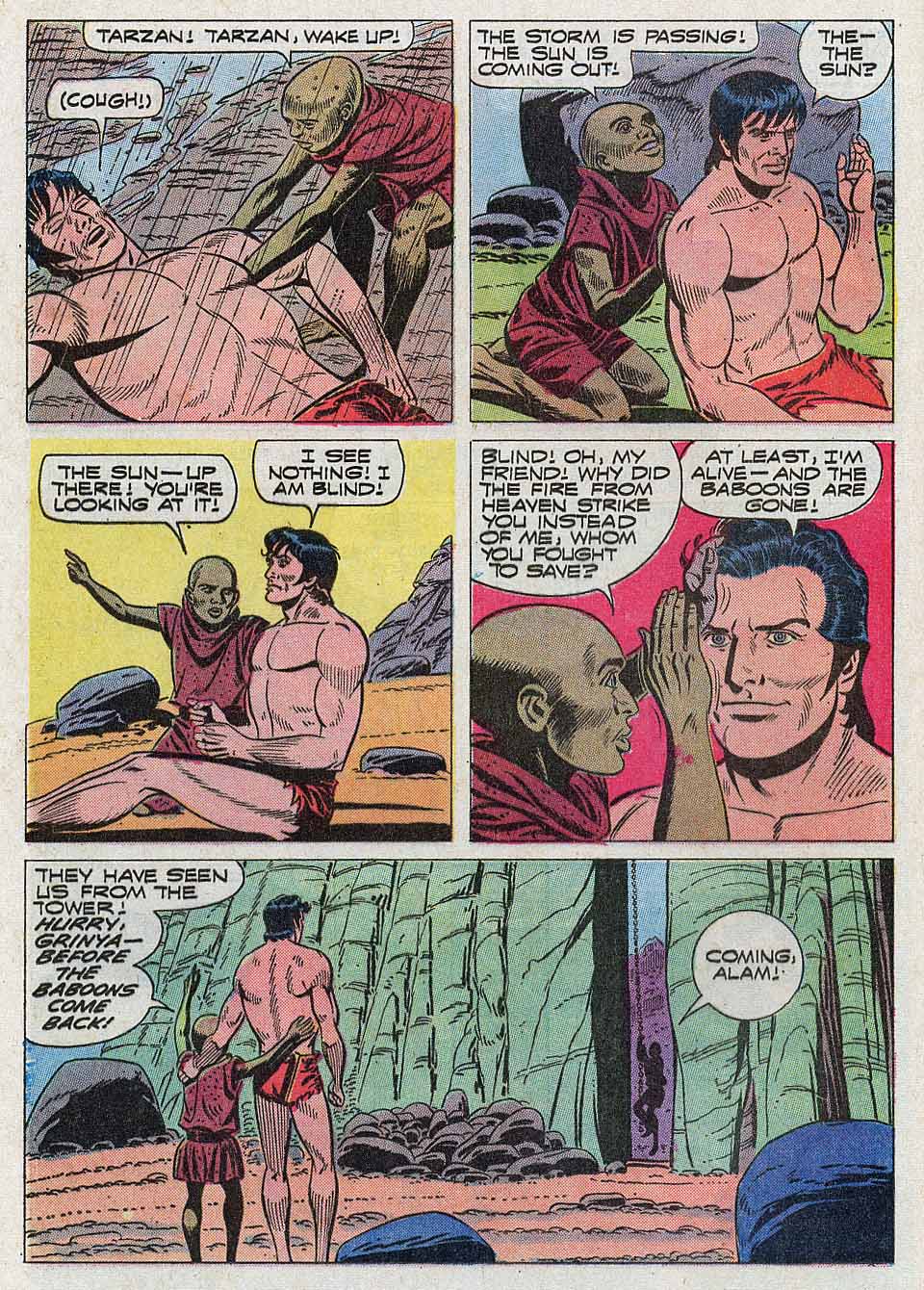 Read online Tarzan (1962) comic -  Issue #204 - 12
