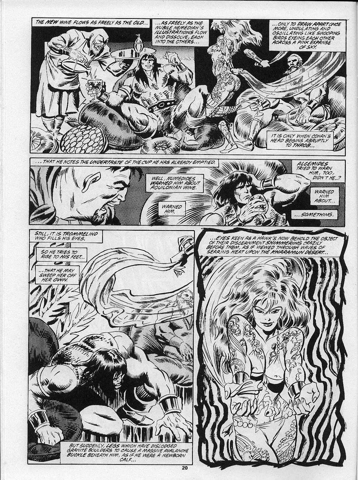 The Savage Sword Of Conan issue 201 - Page 22