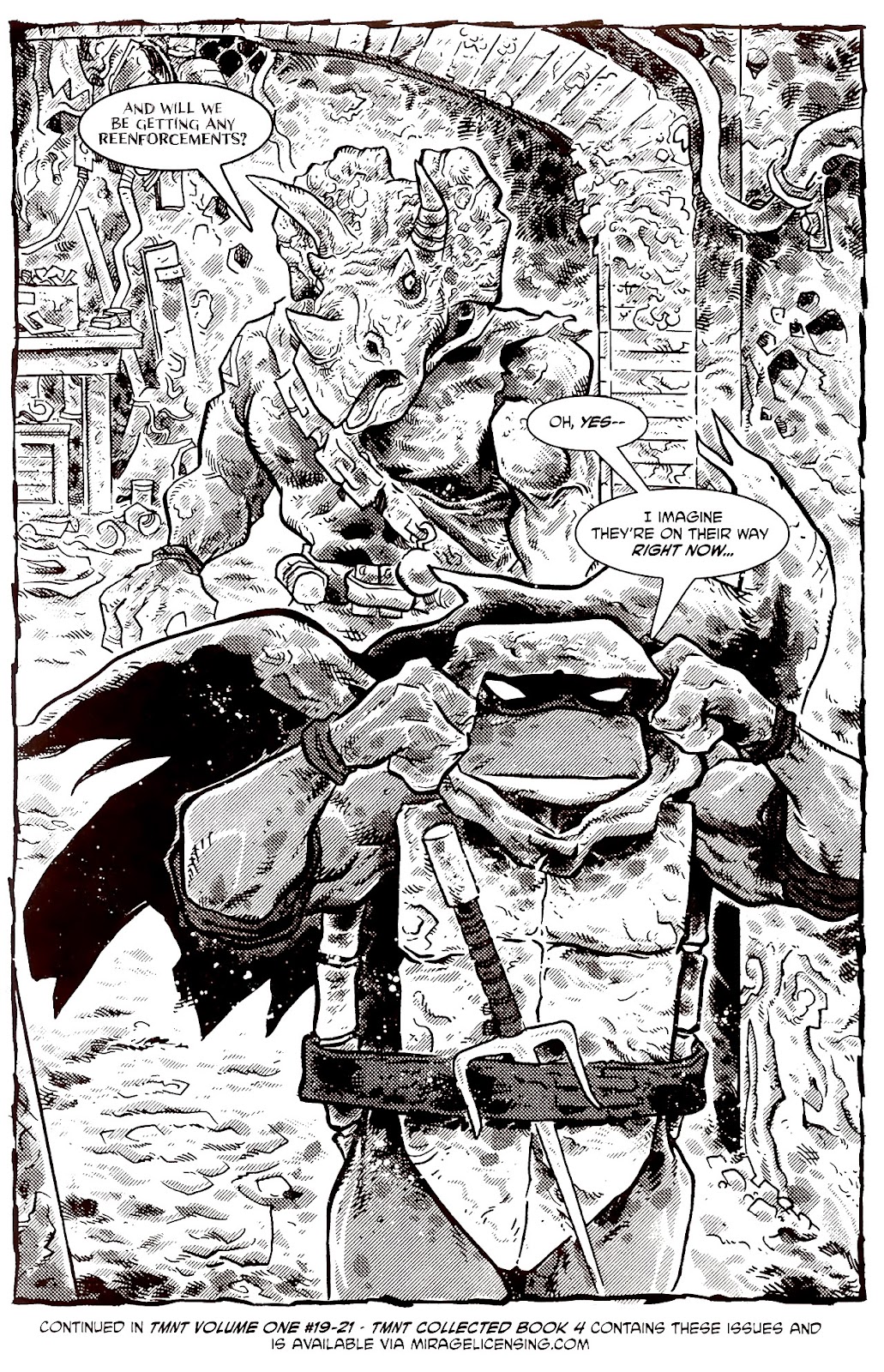 Tales of the TMNT issue 70 - Page 35