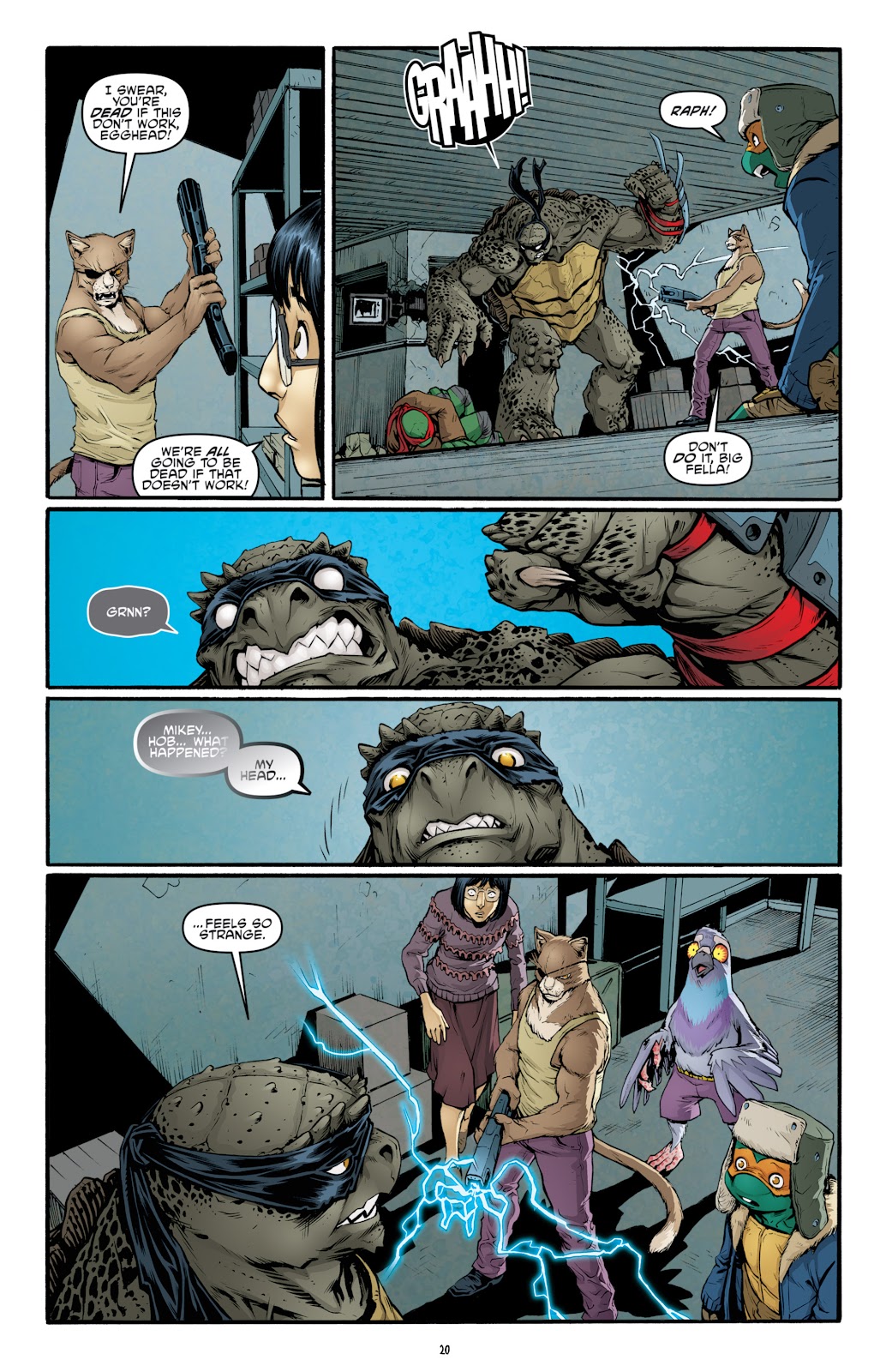 Teenage Mutant Ninja Turtles (2011) issue 35 - Page 24