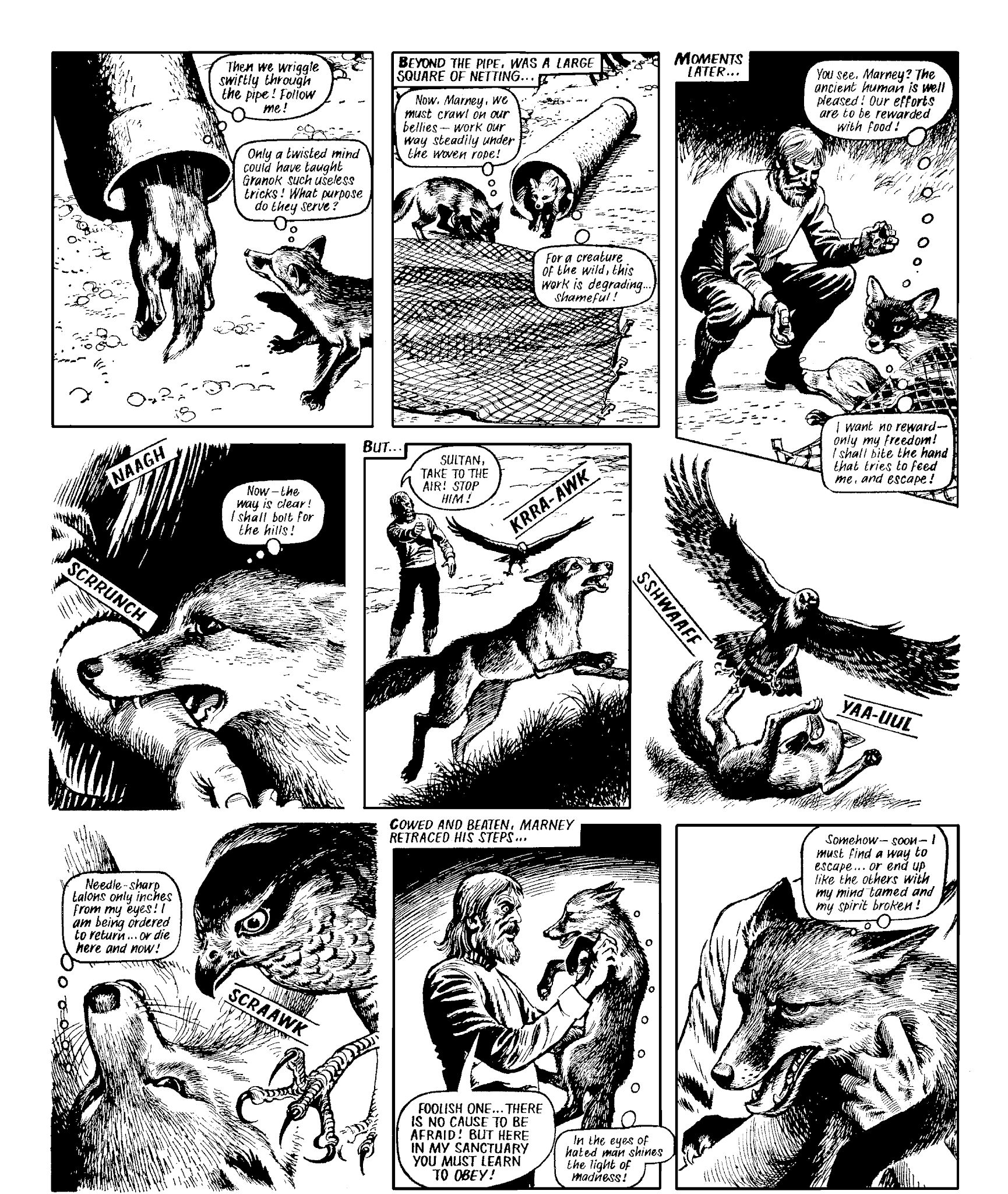 Read online Marney the Fox comic -  Issue # TPB (Part 2) - 107