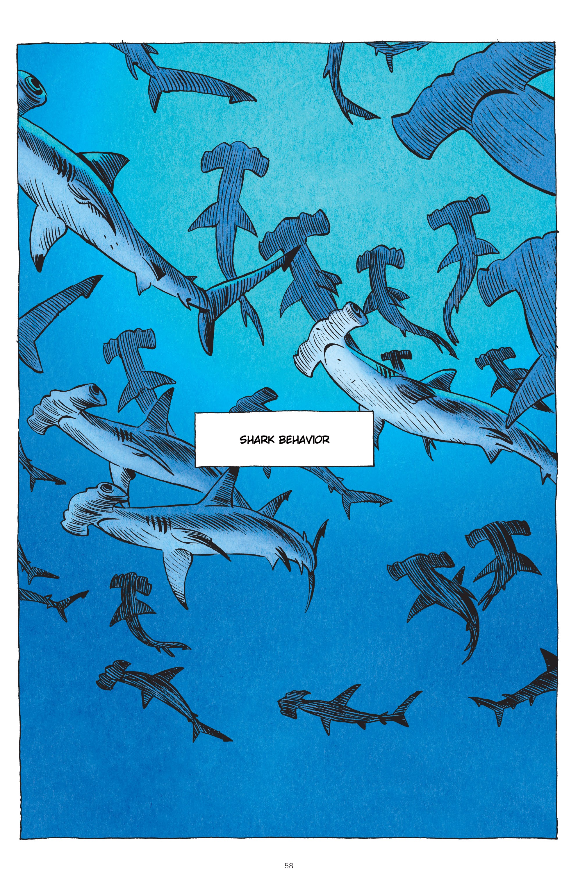 Read online Little Book of Knowledge: Sharks comic -  Issue # TPB - 58