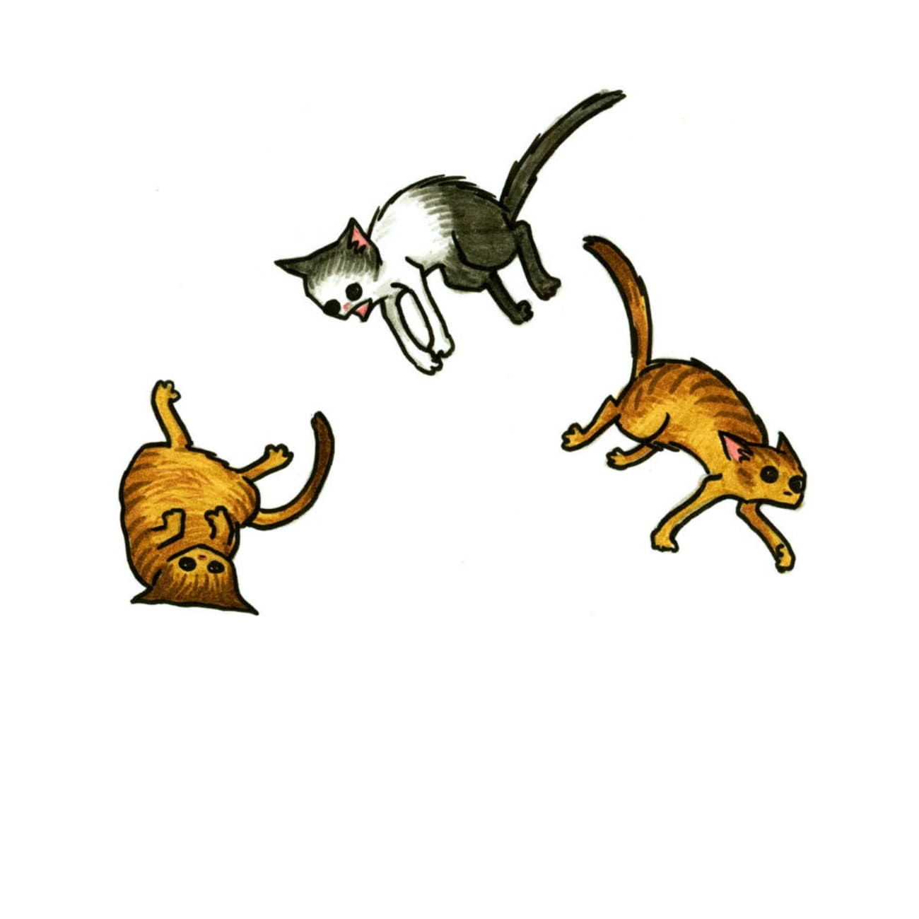 Read online Cats are Weird and More Observations comic -  Issue # TPB - 3