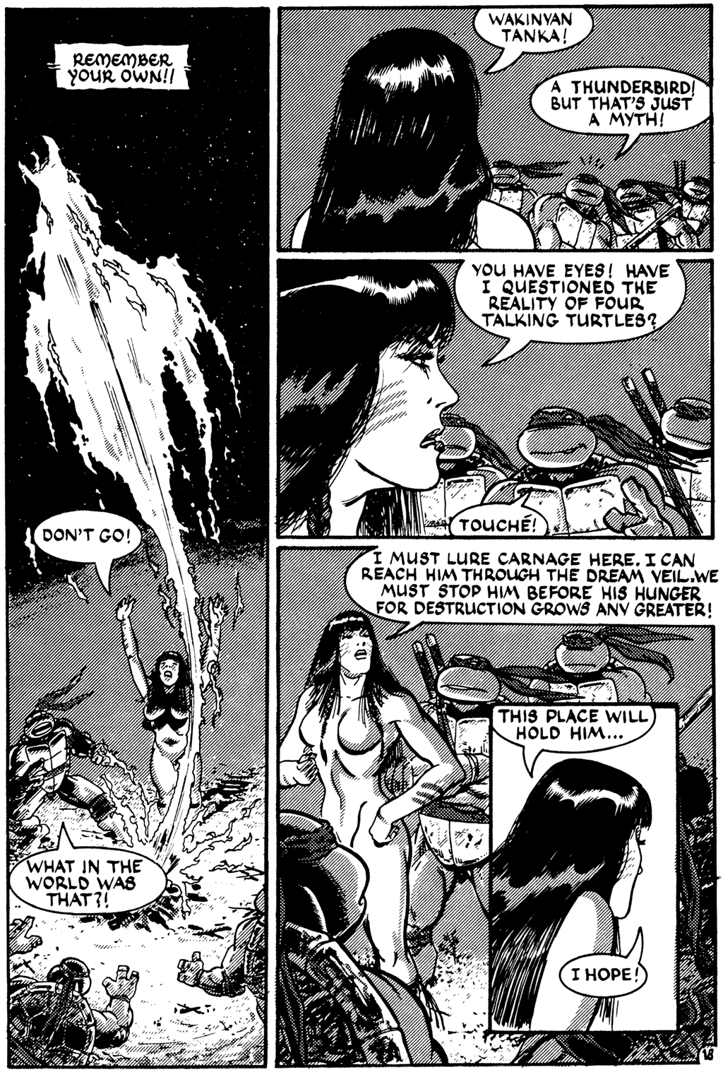 Read online Teenage Mutant Ninja Turtles (1984) comic -  Issue #27 - 18