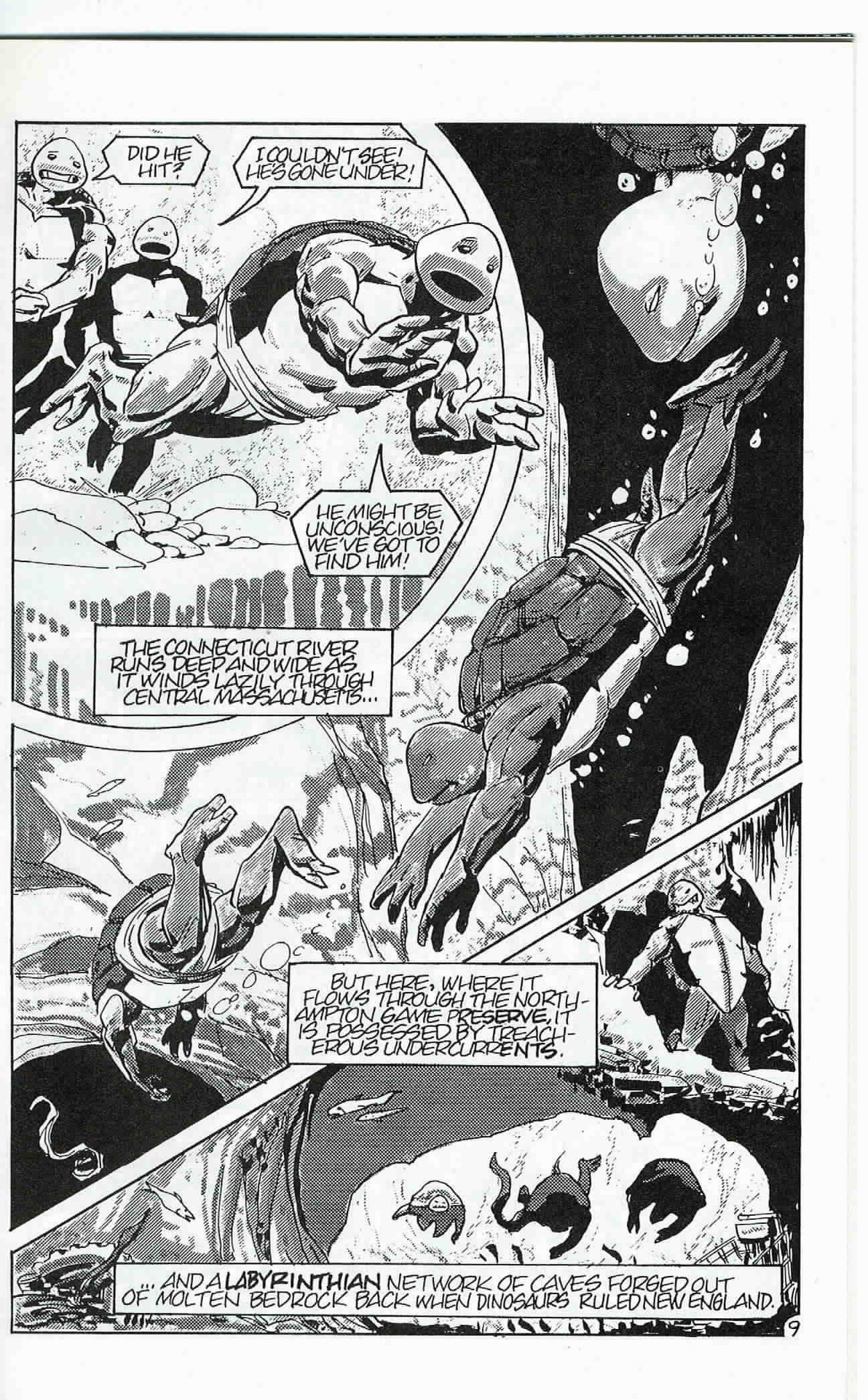 Teenage Mutant Ninja Turtles (1984) Issue #24 #24 - English 10