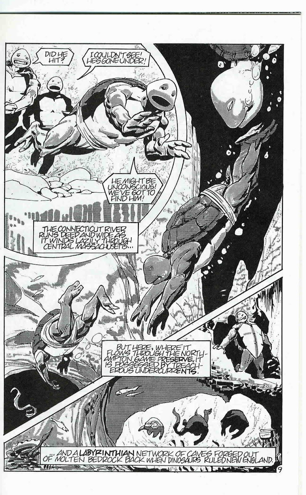 Teenage Mutant Ninja Turtles (1984) Issue #24 #24 - English 10