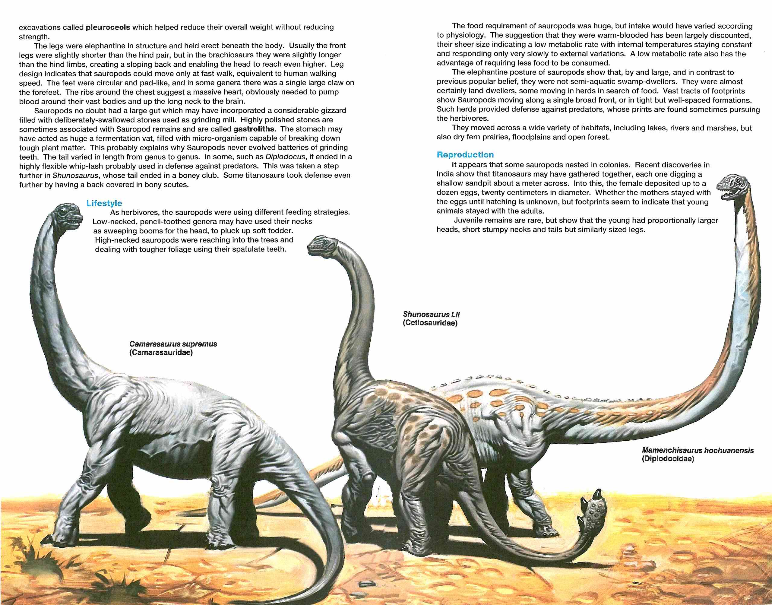 Read online Dinosaurs, A Celebration comic -  Issue #2 - 29