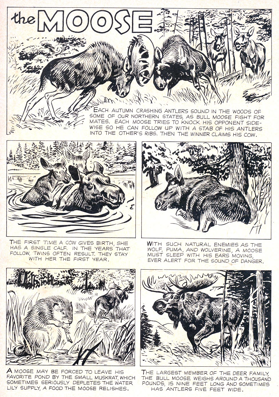 Read online Four Color Comics comic -  Issue #1016 - 35