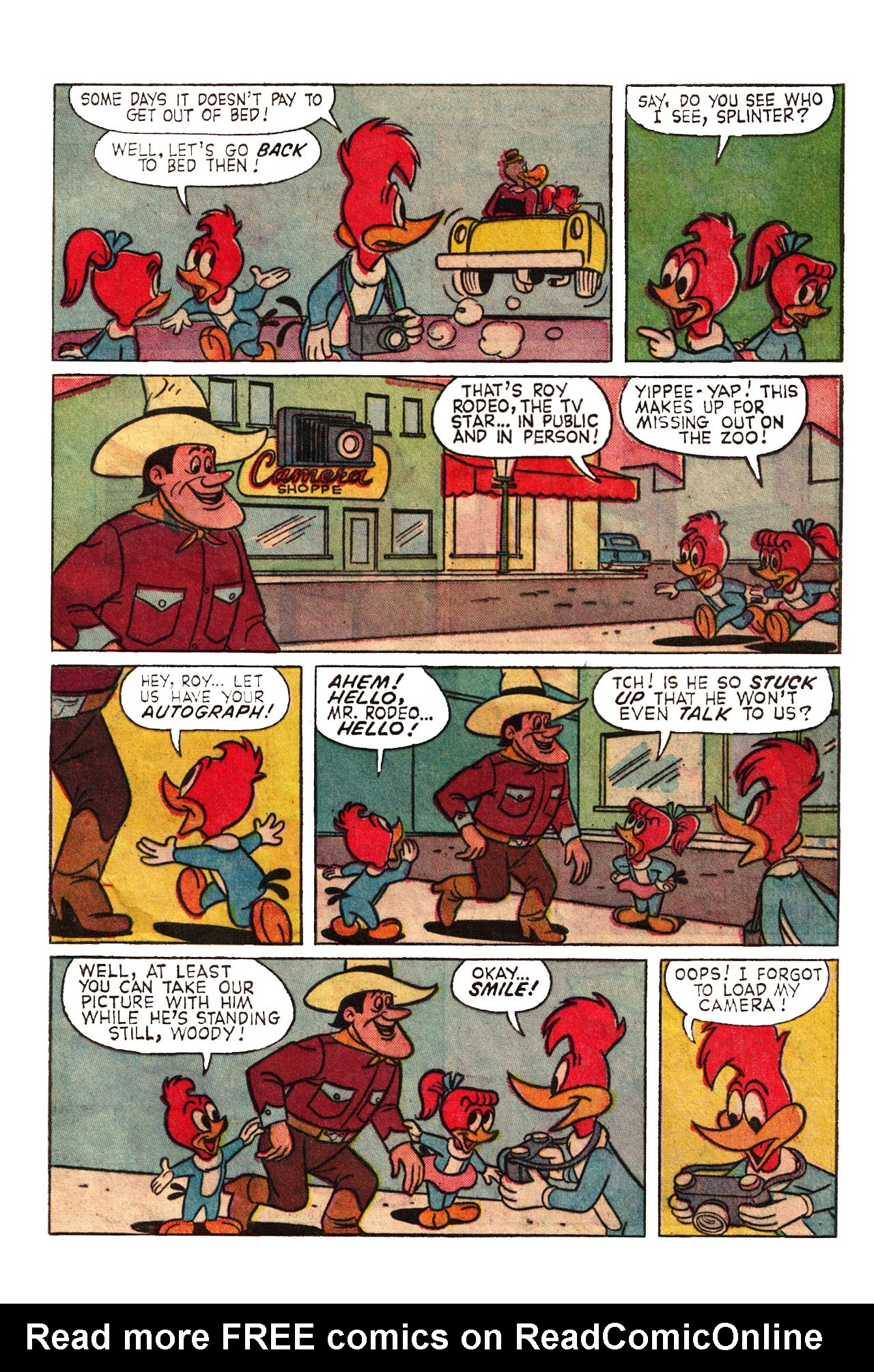 Read online Walter Lantz Woody Woodpecker (1962) comic -  Issue #101 - 29