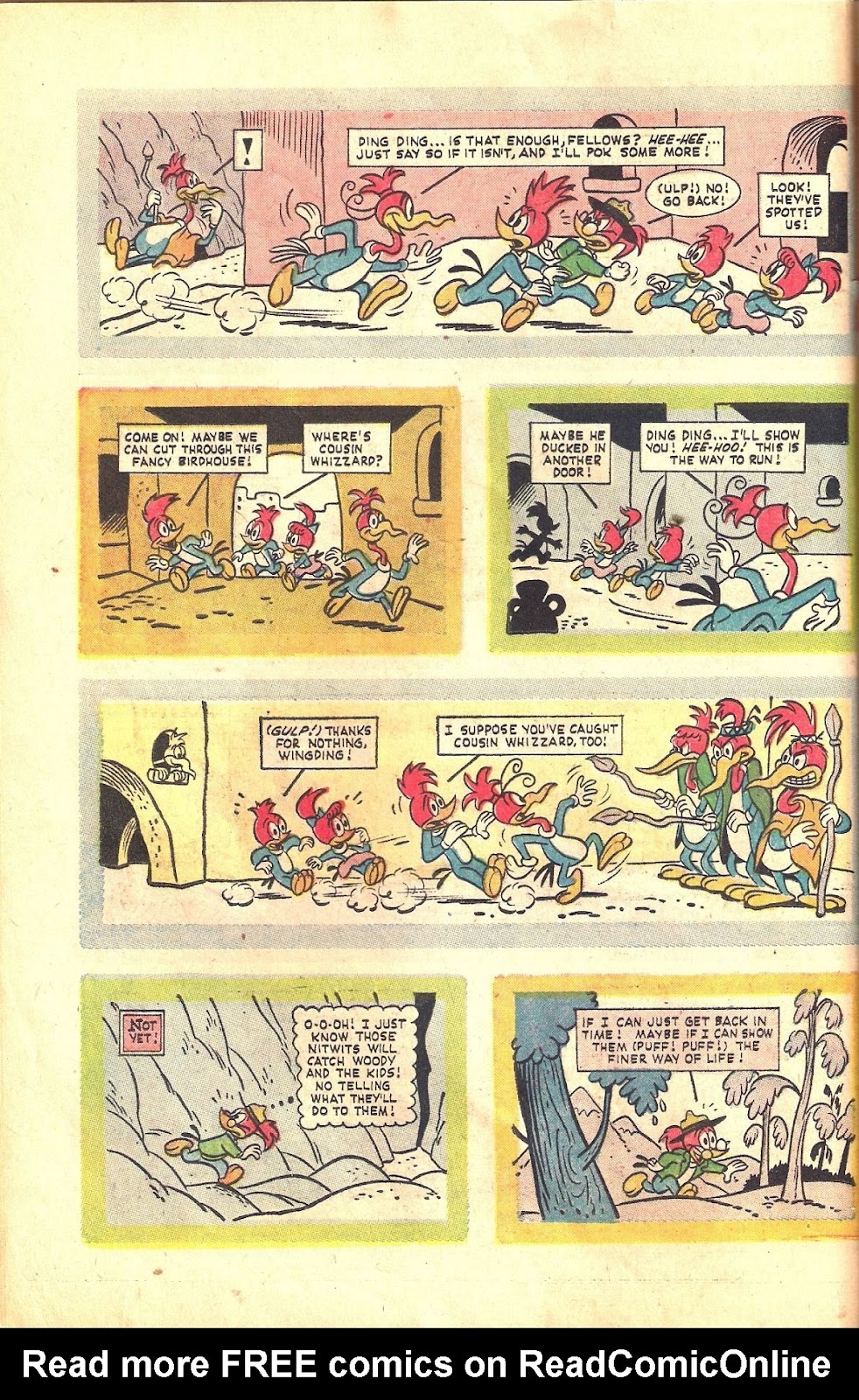 Walter Lantz Woody Woodpecker (1962) issue 73 - Page 42