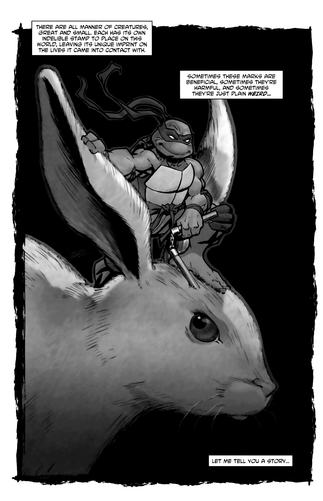 Read online Tales of the TMNT comic -  Issue #62 - 3