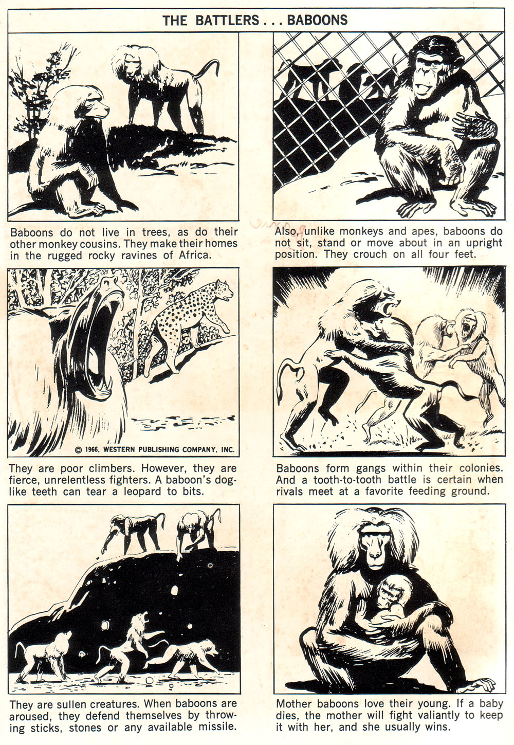 Read online Korak, Son of Tarzan (1964) comic -  Issue #15 - 2