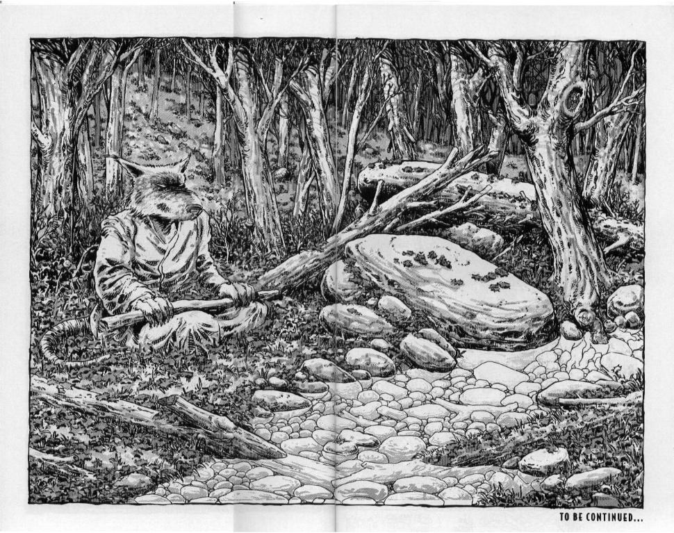 Read online Teenage Mutant Ninja Turtles (1984) comic -  Issue #50 - 48