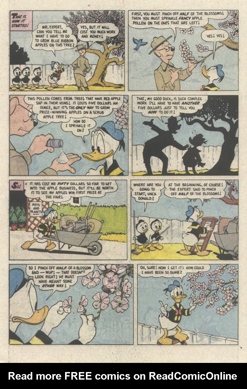 Read online Walt Disney's Donald Duck (1986) comic -  Issue #269 - 5