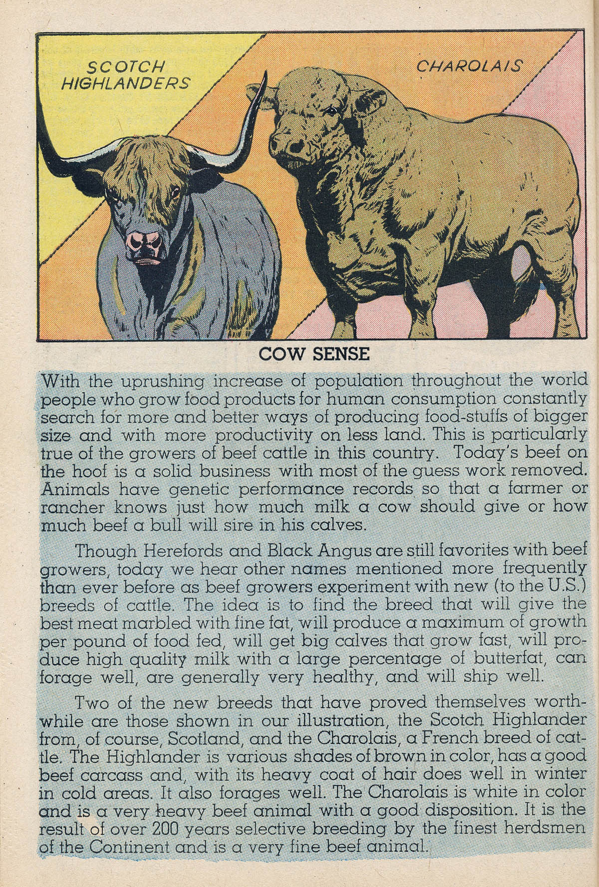 Read online The Adventures of Little Archie comic -  Issue #38 - 24