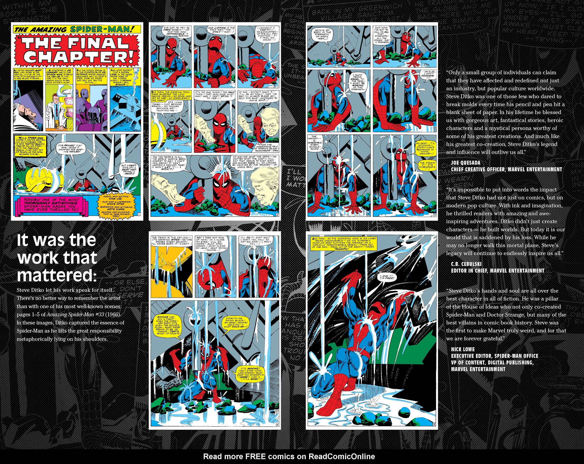 Read online Peter Parker: The Spectacular Spider-Man comic -  Issue #308 - 3