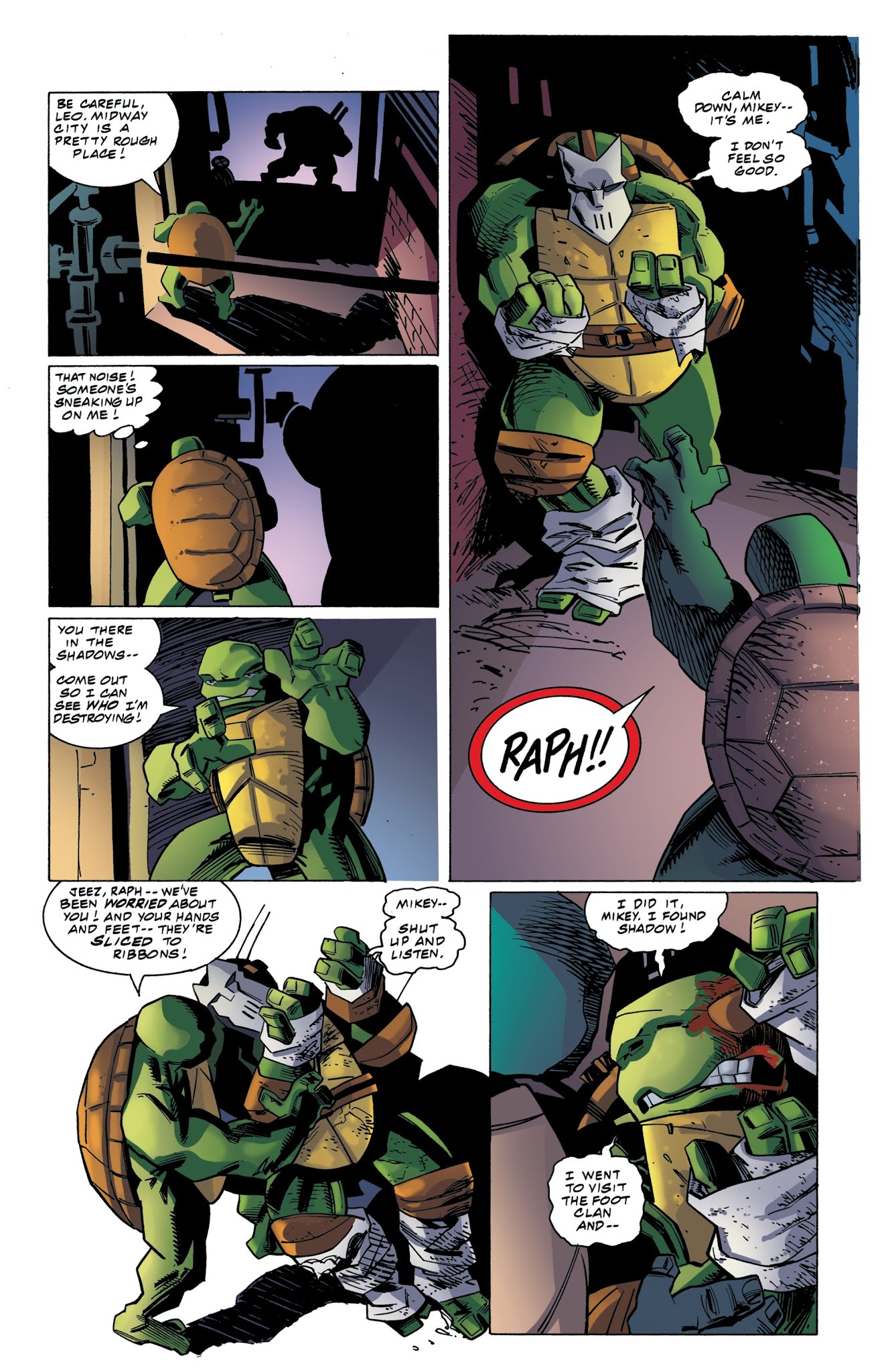 Read online Teenage Mutant Ninja Turtles: Urban Legends comic -  Issue #8 - 13