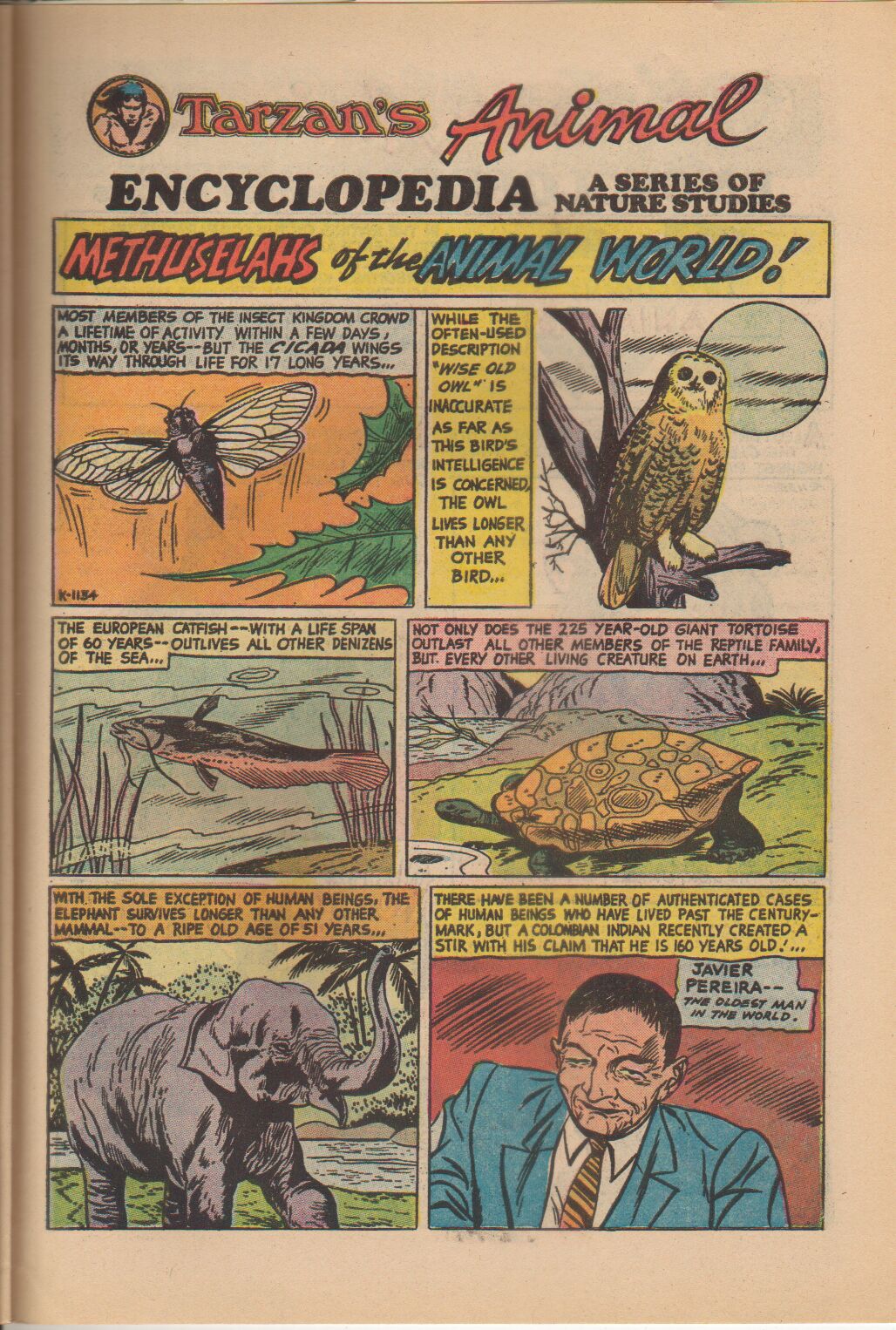 Read online Tarzan (1972) comic -  Issue #224 - 20