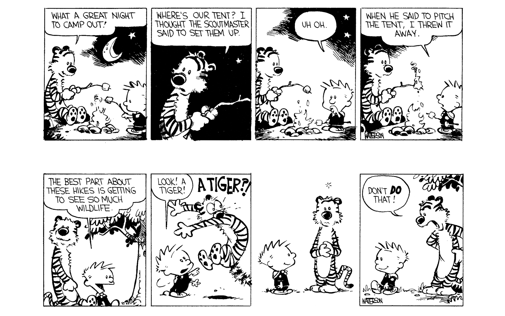 Read online Calvin and Hobbes comic -  Issue #1 - 110