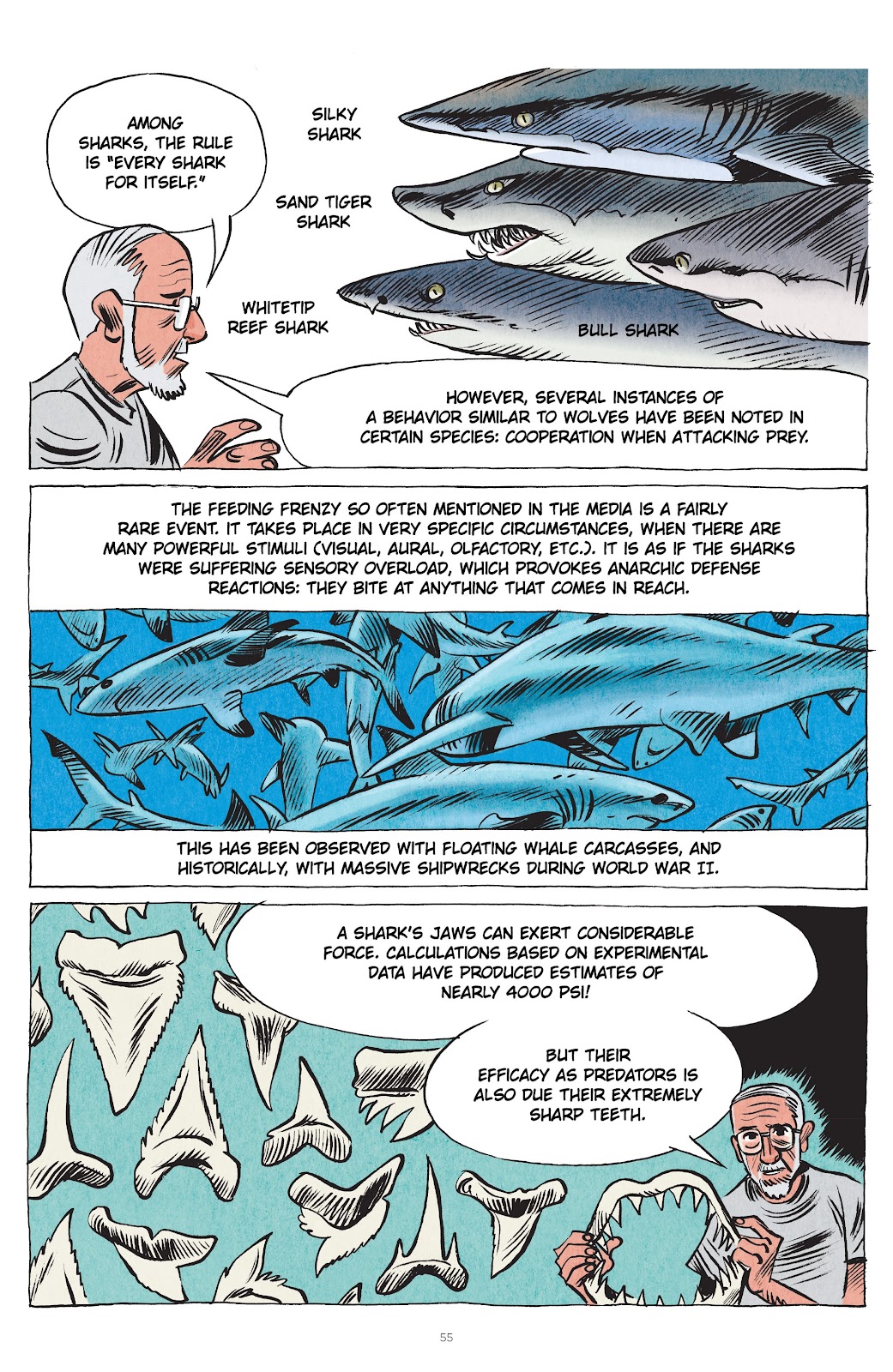 Little Book of Knowledge: Sharks issue TPB - Page 55