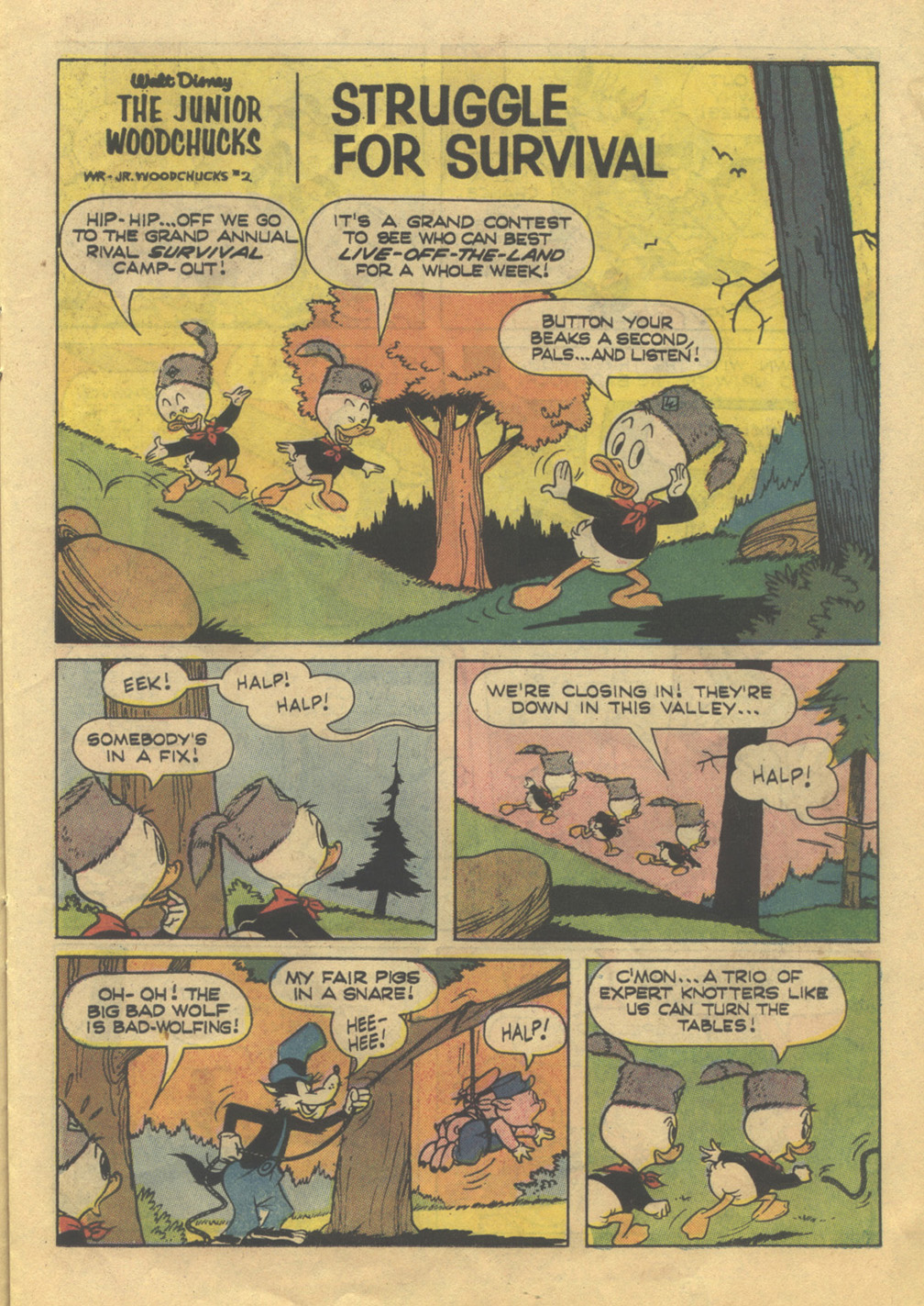 Huey, Dewey, and Louie Junior Woodchucks issue 24 - Page 15
