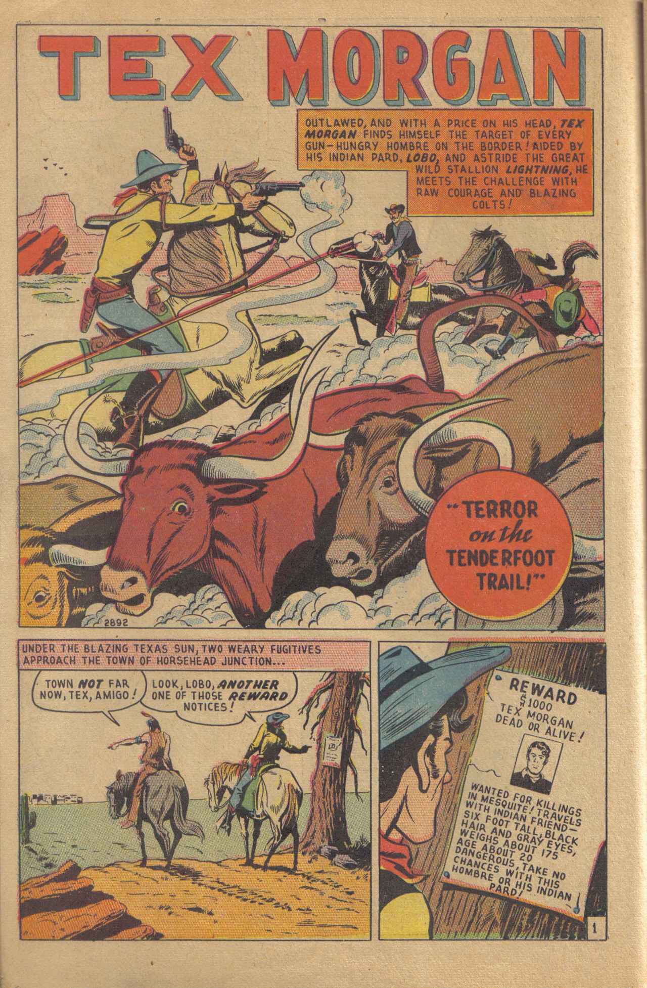 Read online Tex Morgan comic -  Issue #1 - 14