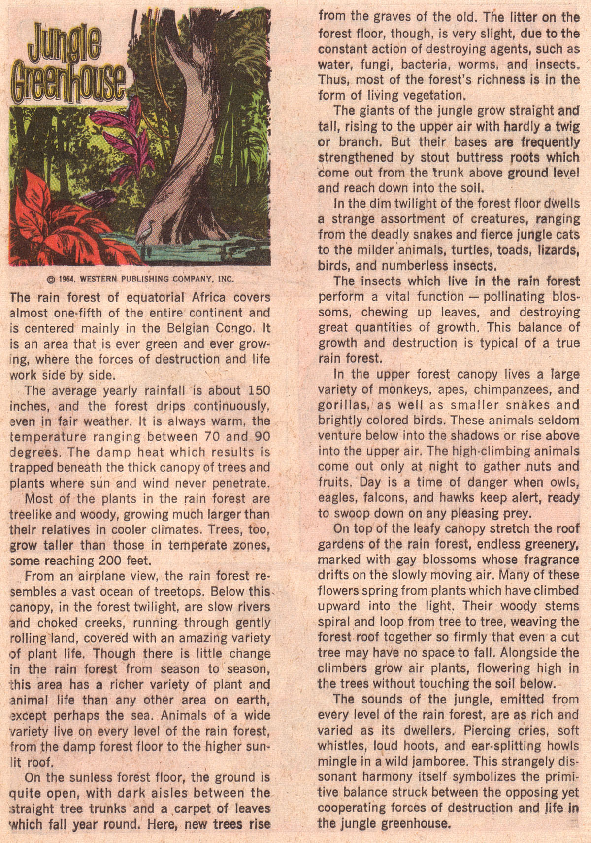 Read online Korak, Son of Tarzan (1964) comic -  Issue #29 - 25