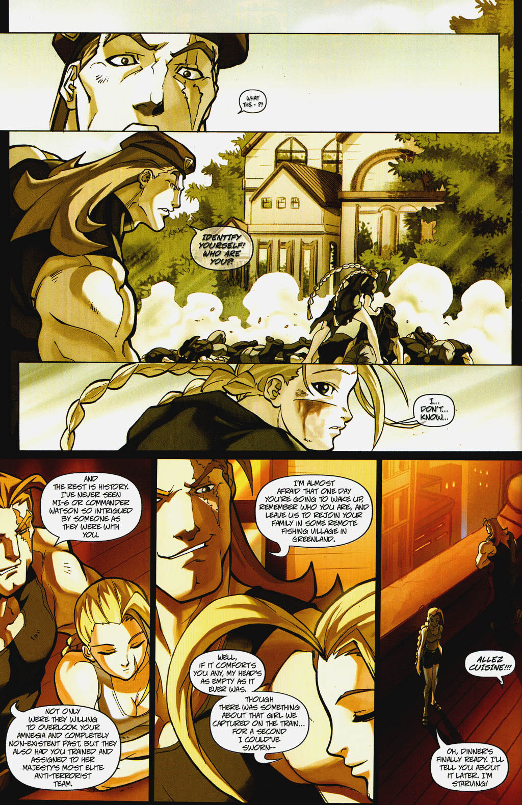 Read online Street Fighter (2003) comic -  Issue #7 - 19