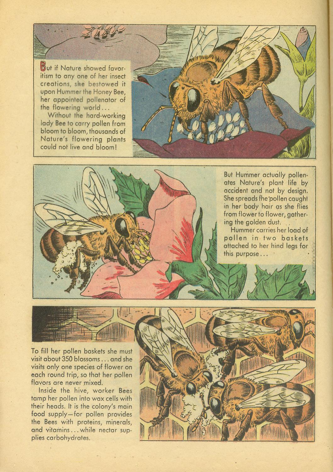 Read online Four Color Comics comic -  Issue #749 - 12