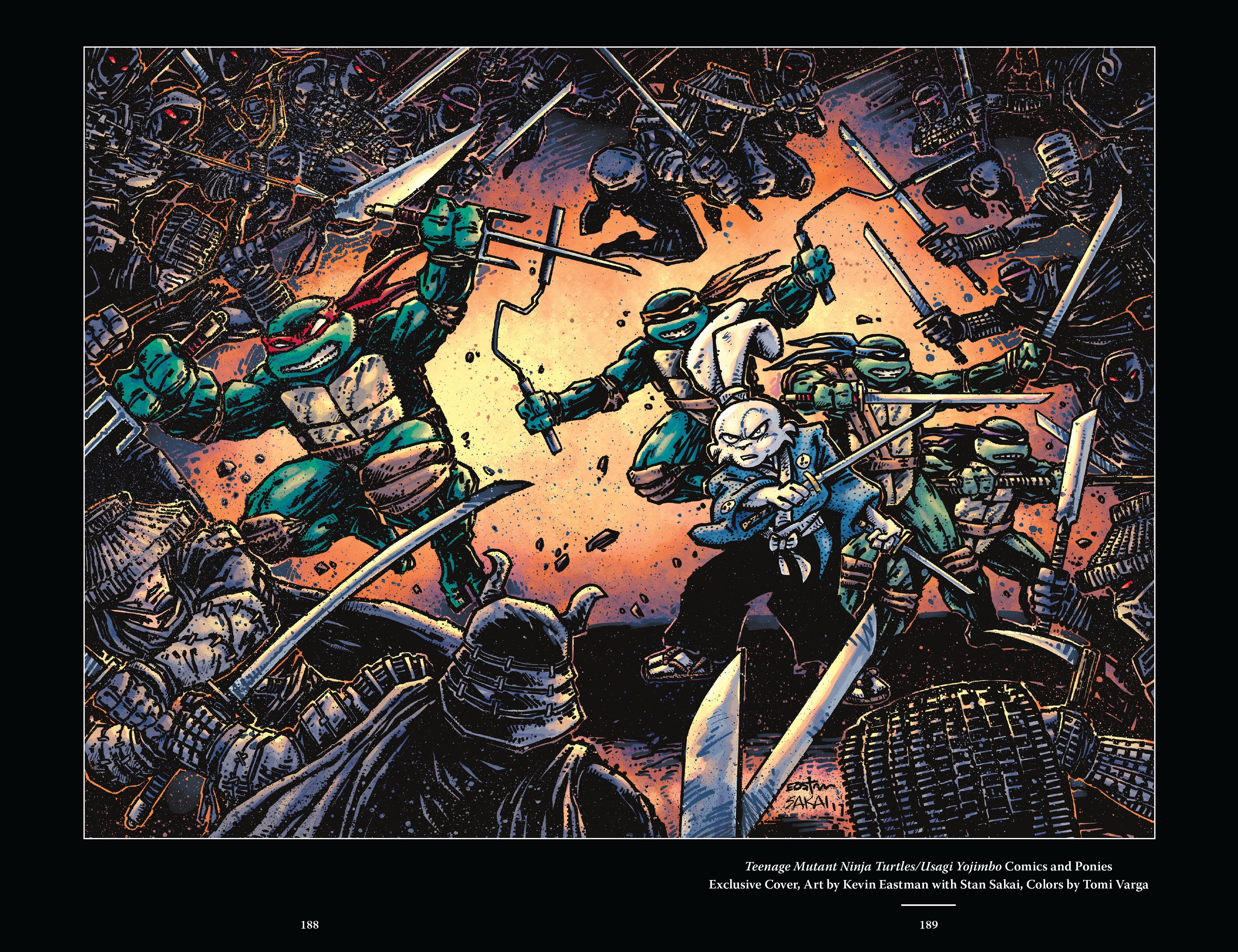 Read online Usagi Yojimbo/Teenage Mutant Ninja Turtles: The Complete Collection comic -  Issue # TPB (Part 2) - 78