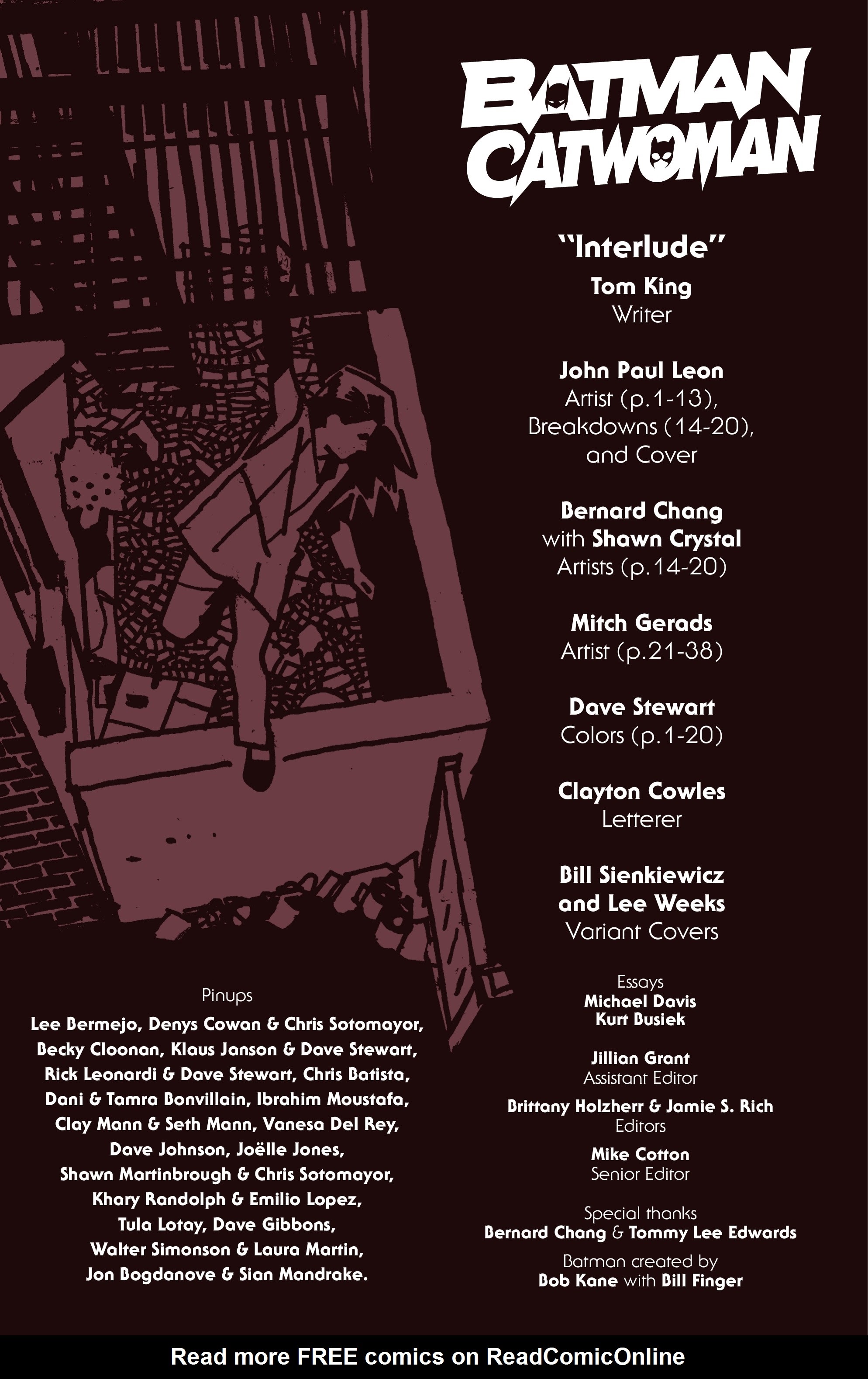 Read online Batman/Catwoman comic -  Issue # _Special 1 - 3