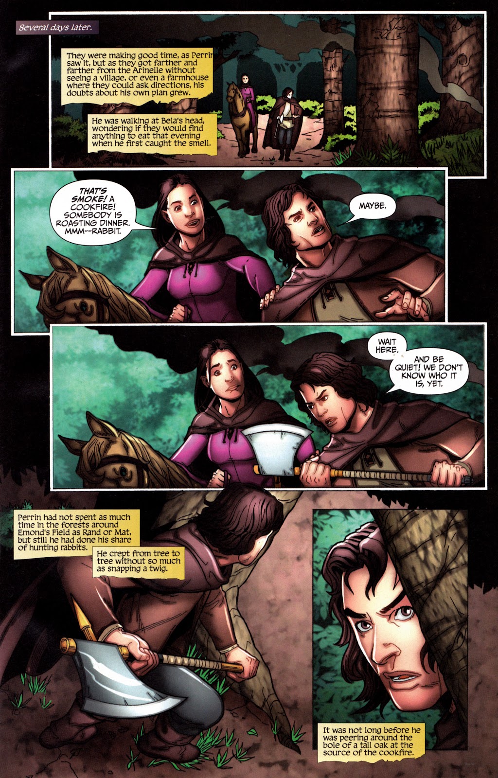 Robert Jordan's Wheel of Time: The Eye of the World issue 16 - Page 9