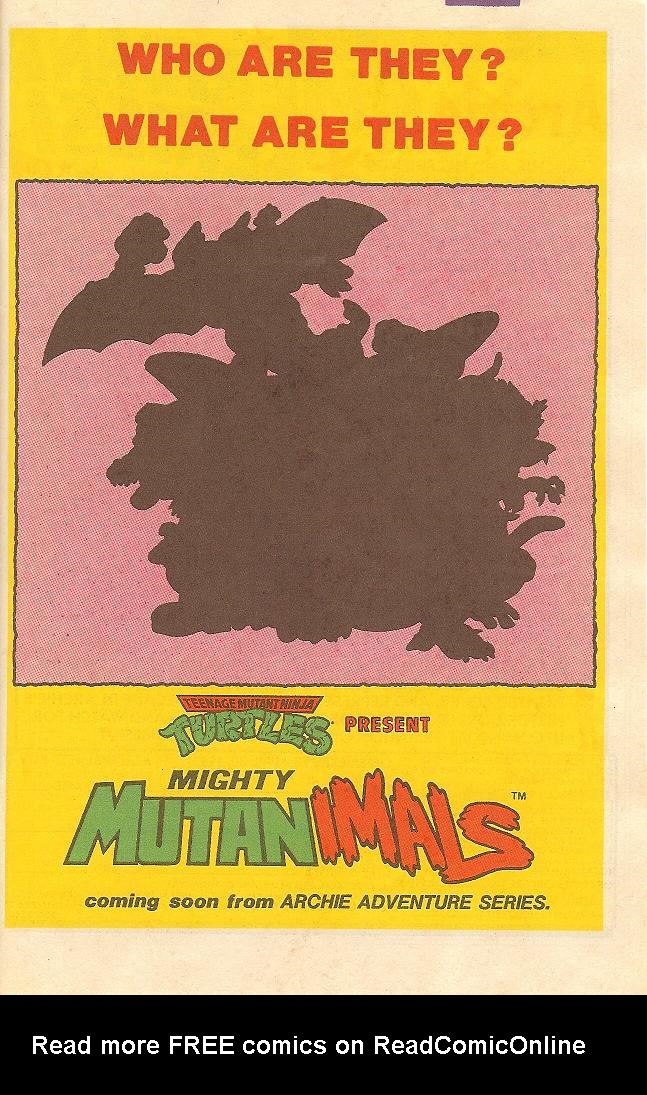 Read online Teenage Mutant Ninja Turtles Adventures (1989) comic -  Issue #18 - 32