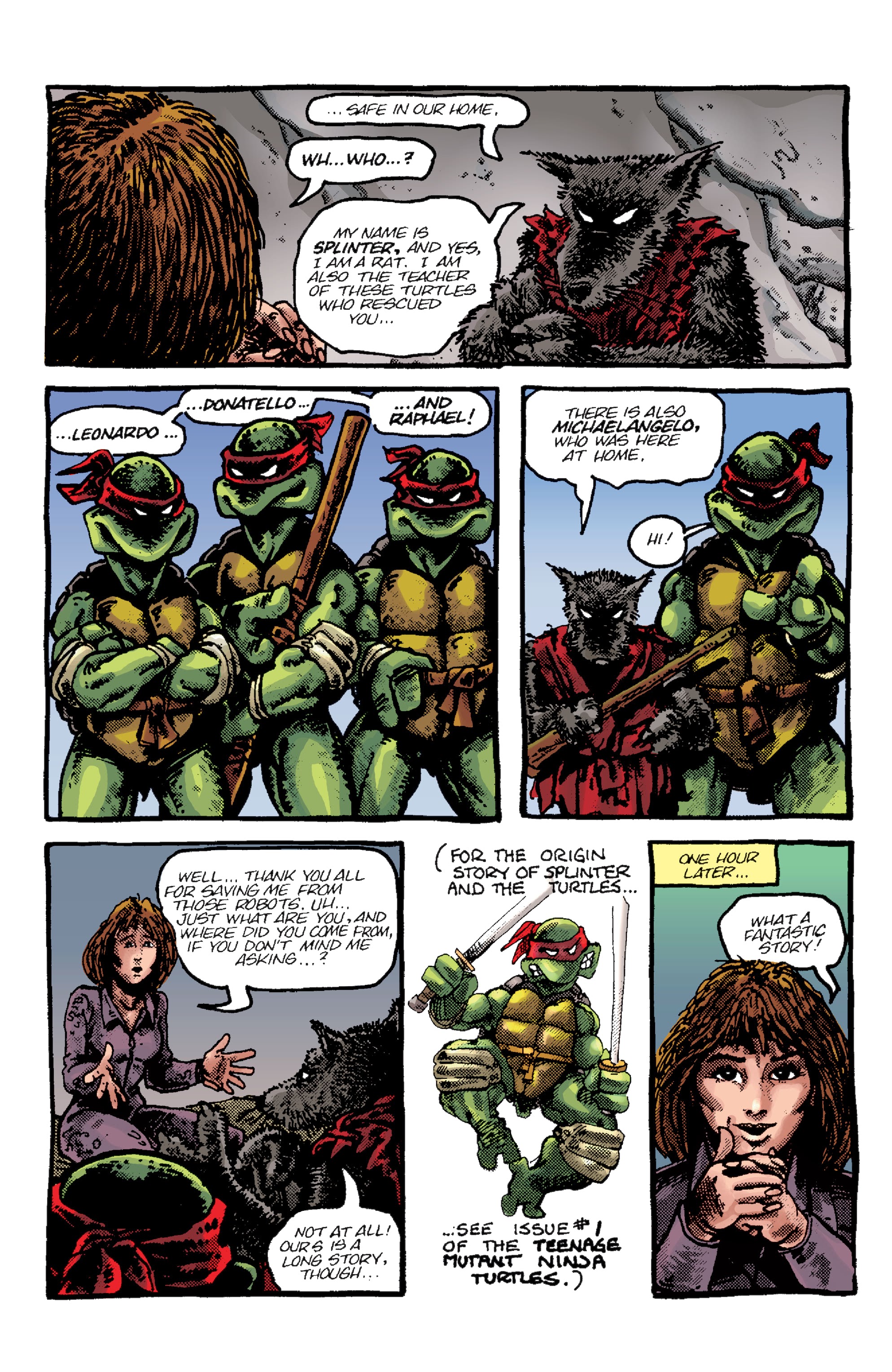 Read online Teenage Mutant Ninja Turtles: Best Of comic -  Issue # Best of April O’Neil - 20