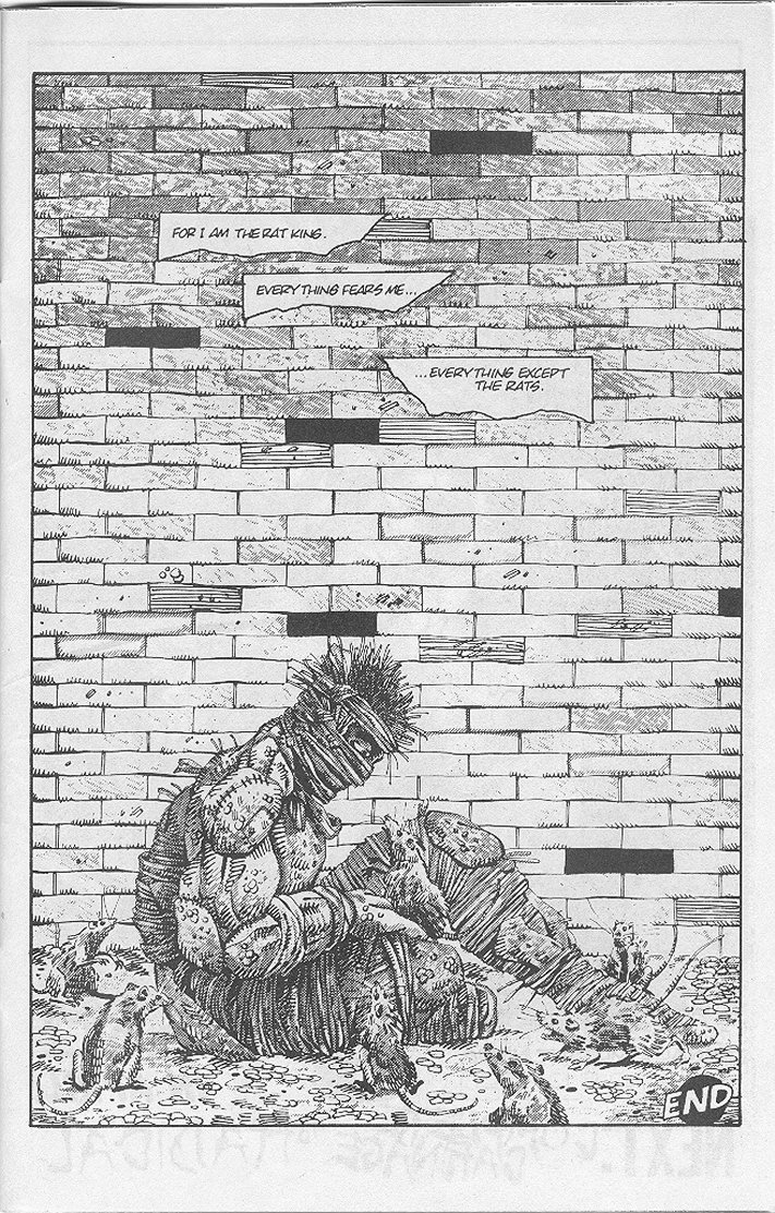 Read online Tales of the Teenage Mutant Ninja Turtles comic -  Issue #4 - 33