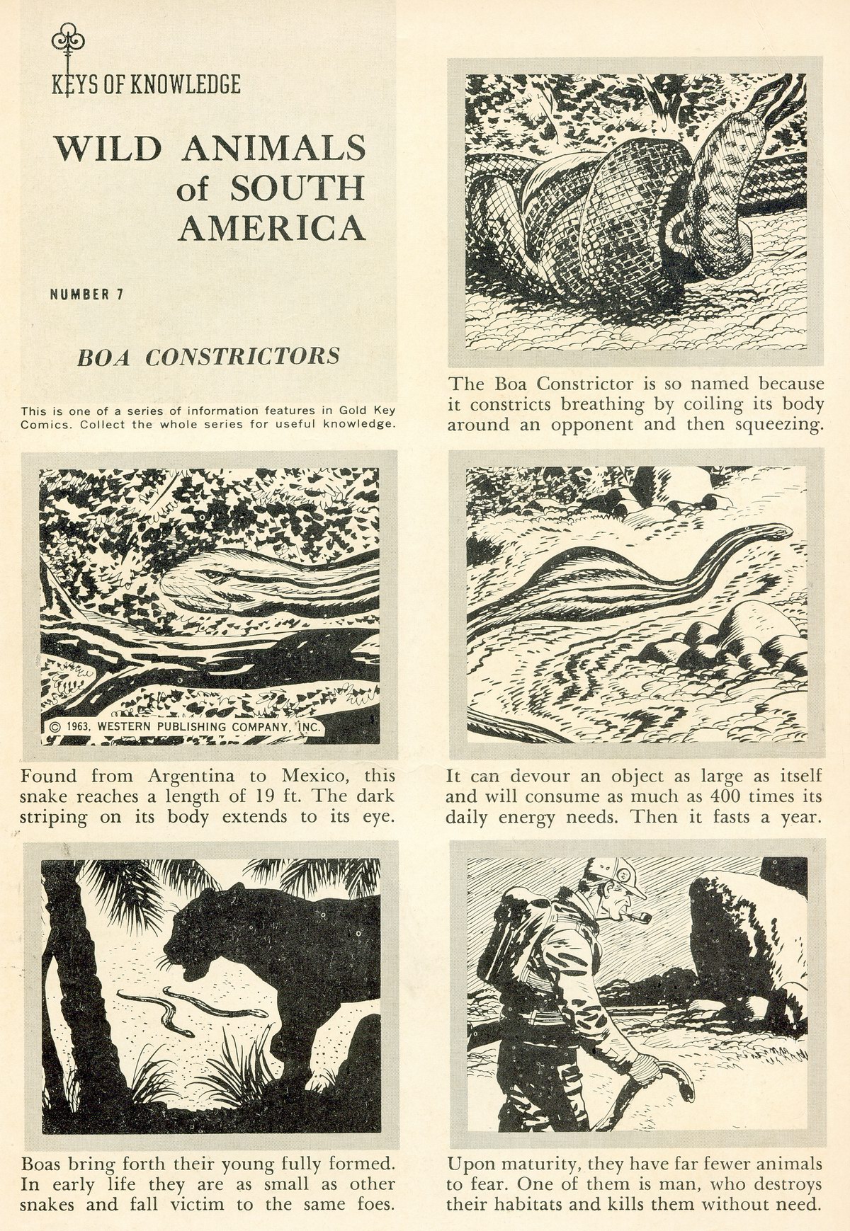 Read online The Phantom (1962) comic -  Issue #6 - 35