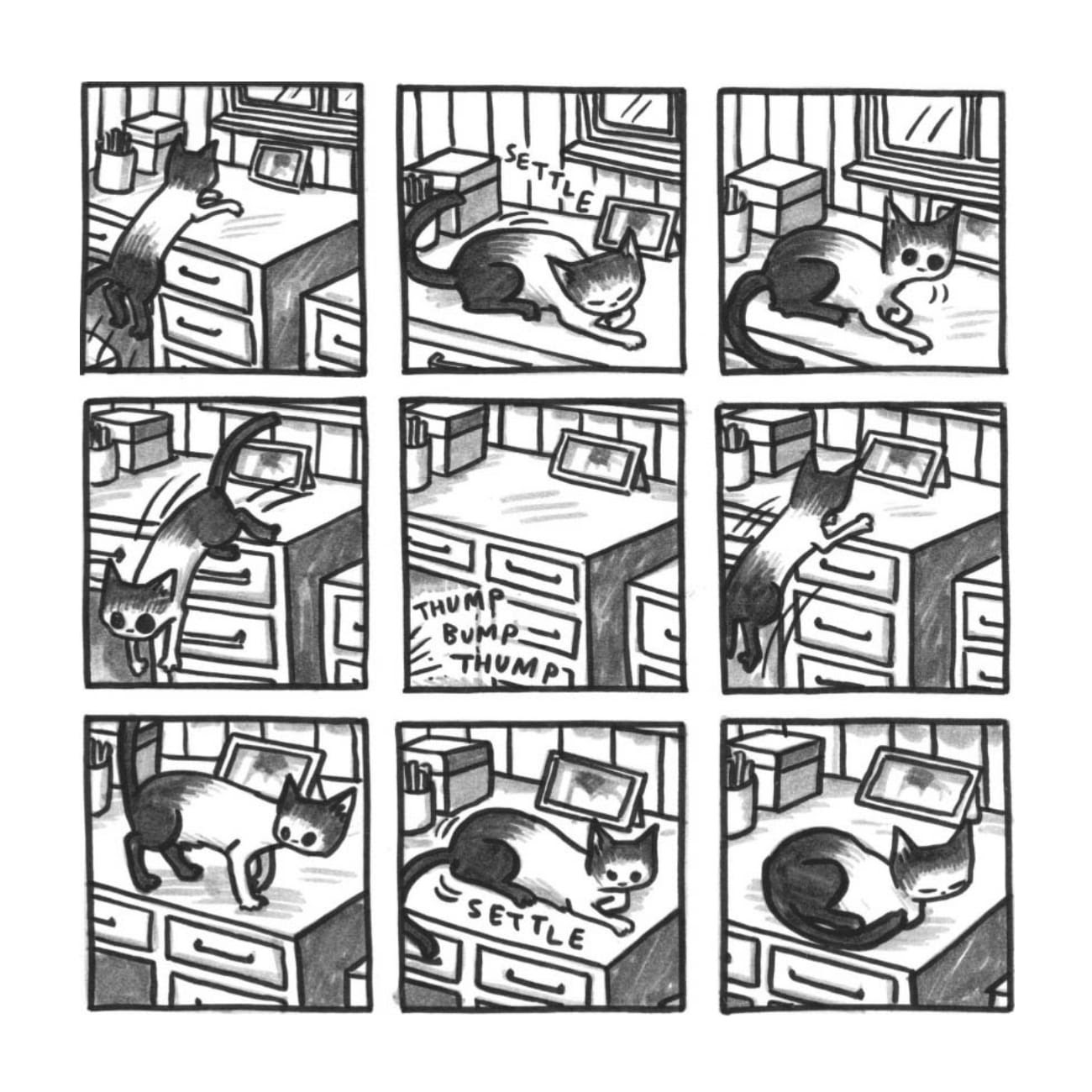 Read online Cats are Weird and More Observations comic -  Issue # TPB - 18