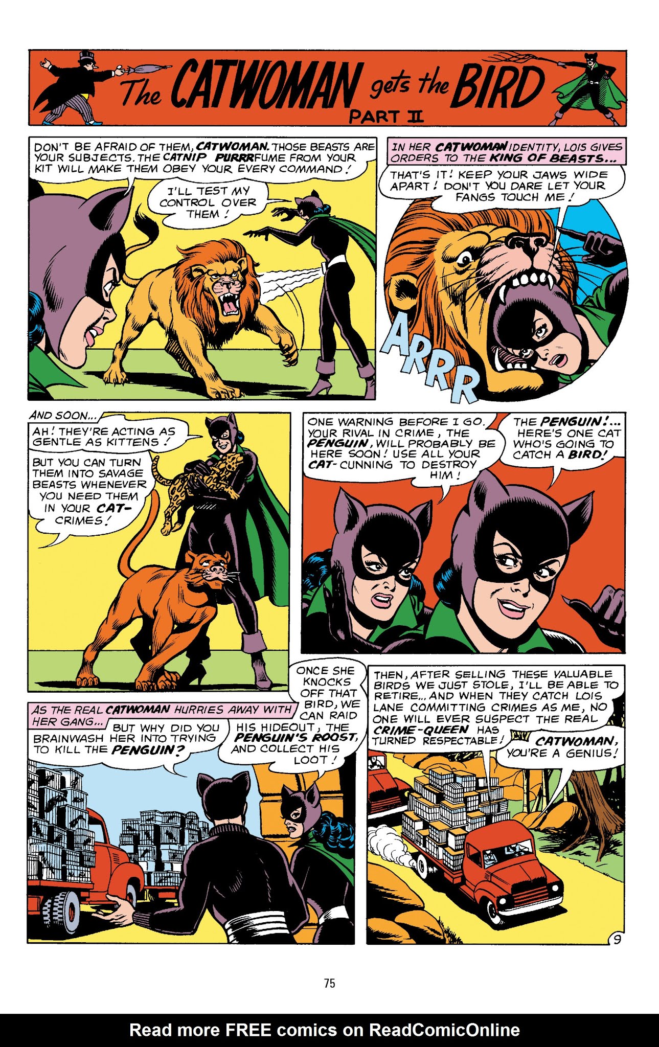 Read online Catwoman: A Celebration of 75 Years comic -  Issue # TPB (Part 1) - 77