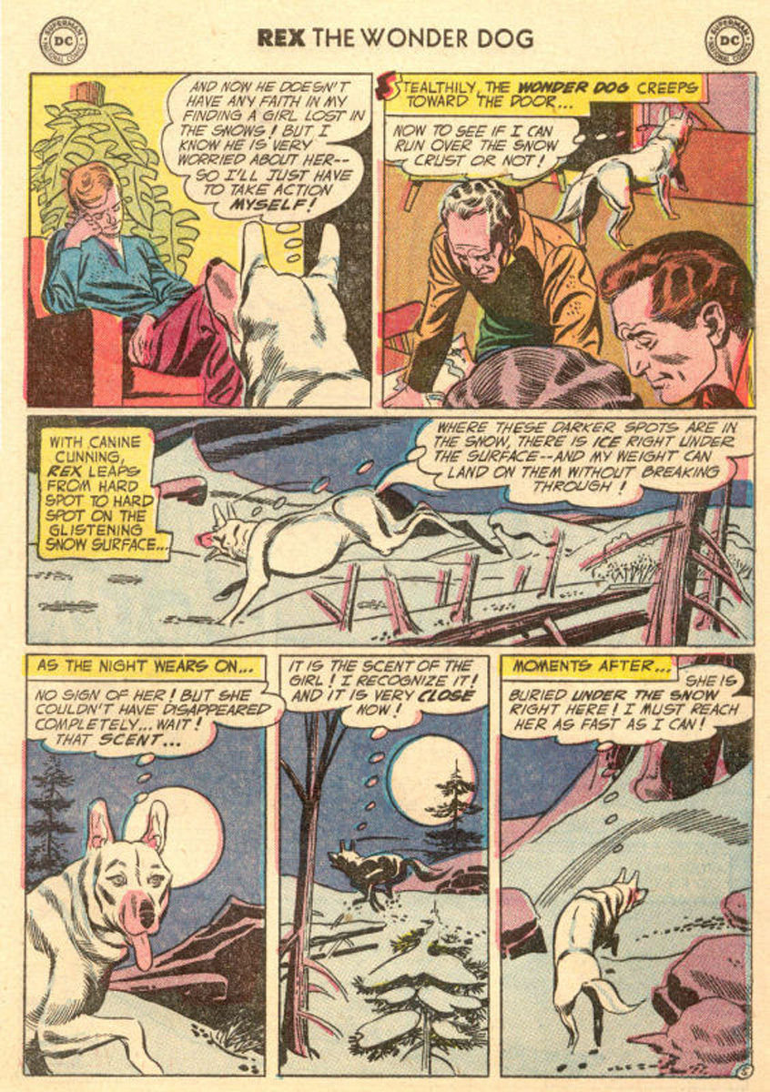 Read online The Adventures of Rex the Wonder Dog comic -  Issue #20 - 29