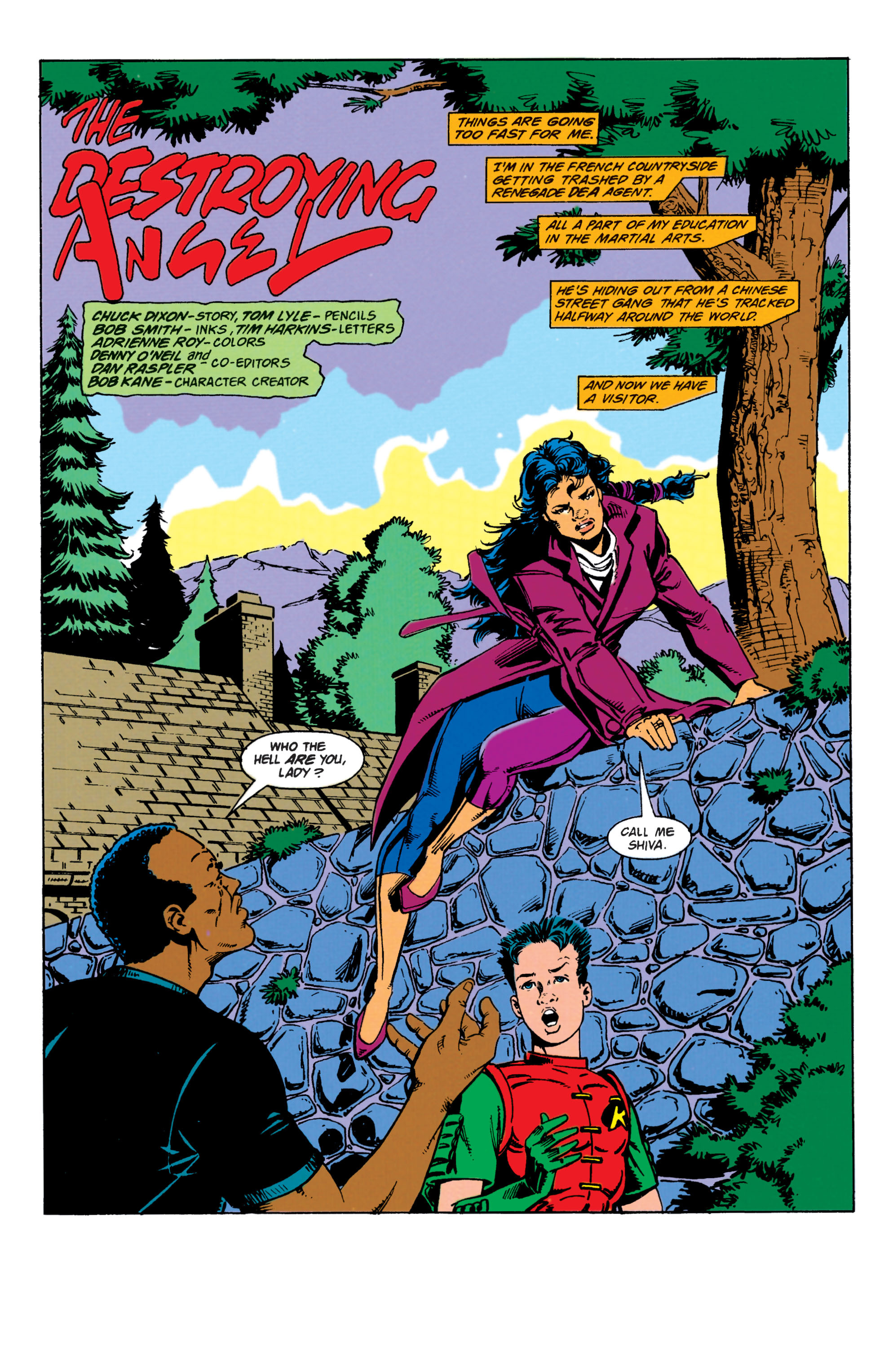 Read online Robin (1993) comic -  Issue # _TPB 1 (Part 3) - 23