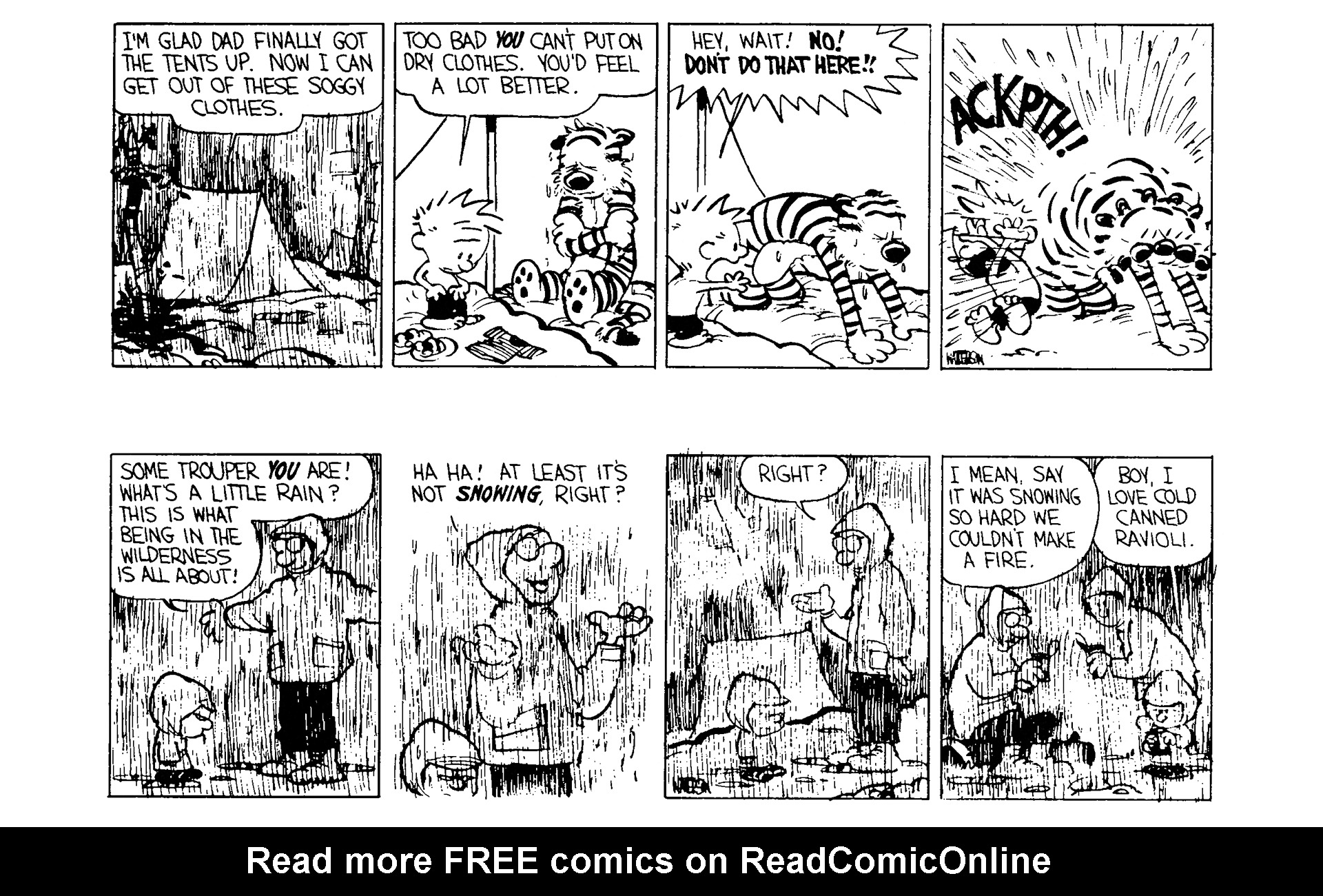 Read online Calvin and Hobbes comic -  Issue #3 - 53