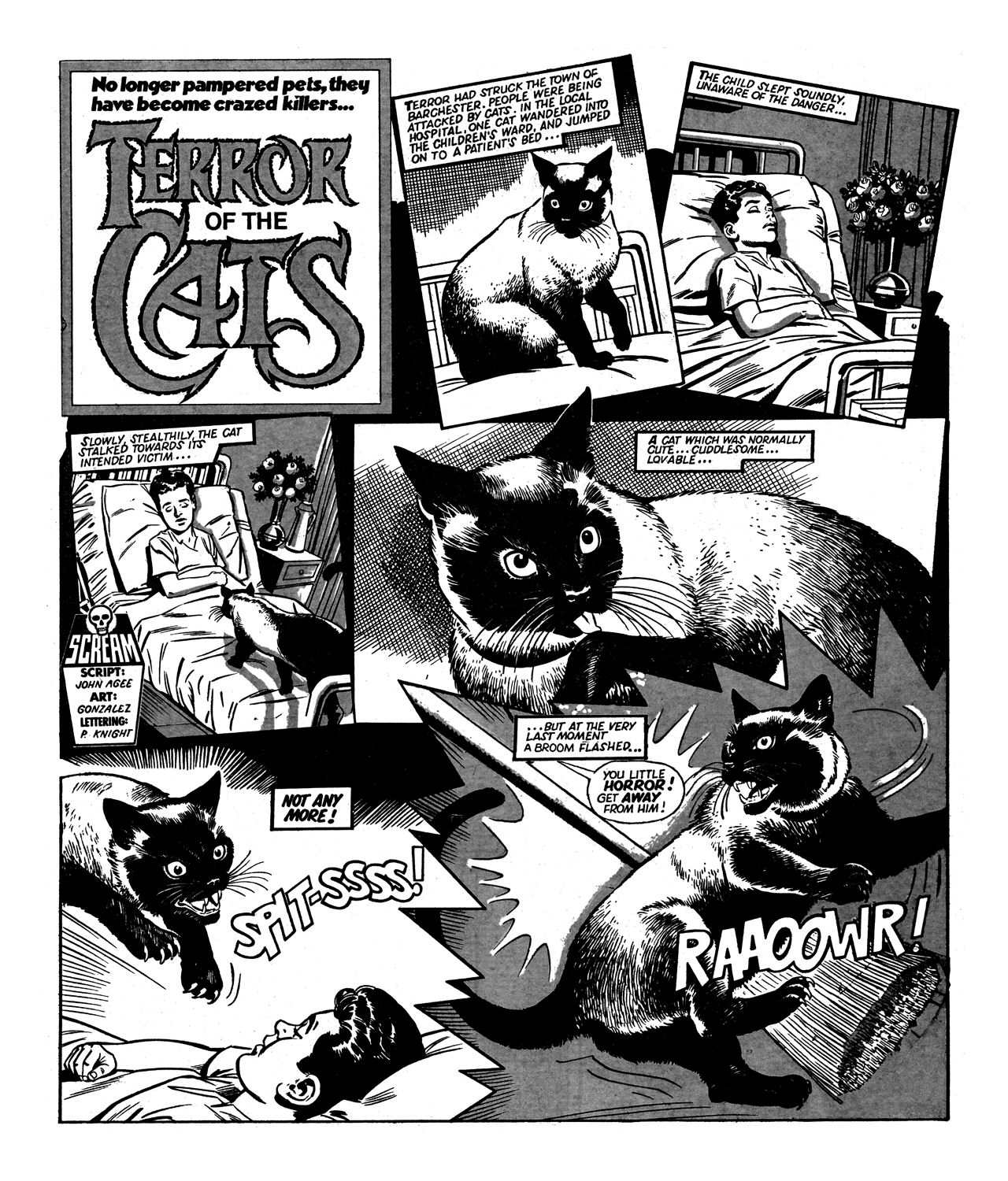 Read online Scream! (1984) comic -  Issue #2 - 26
