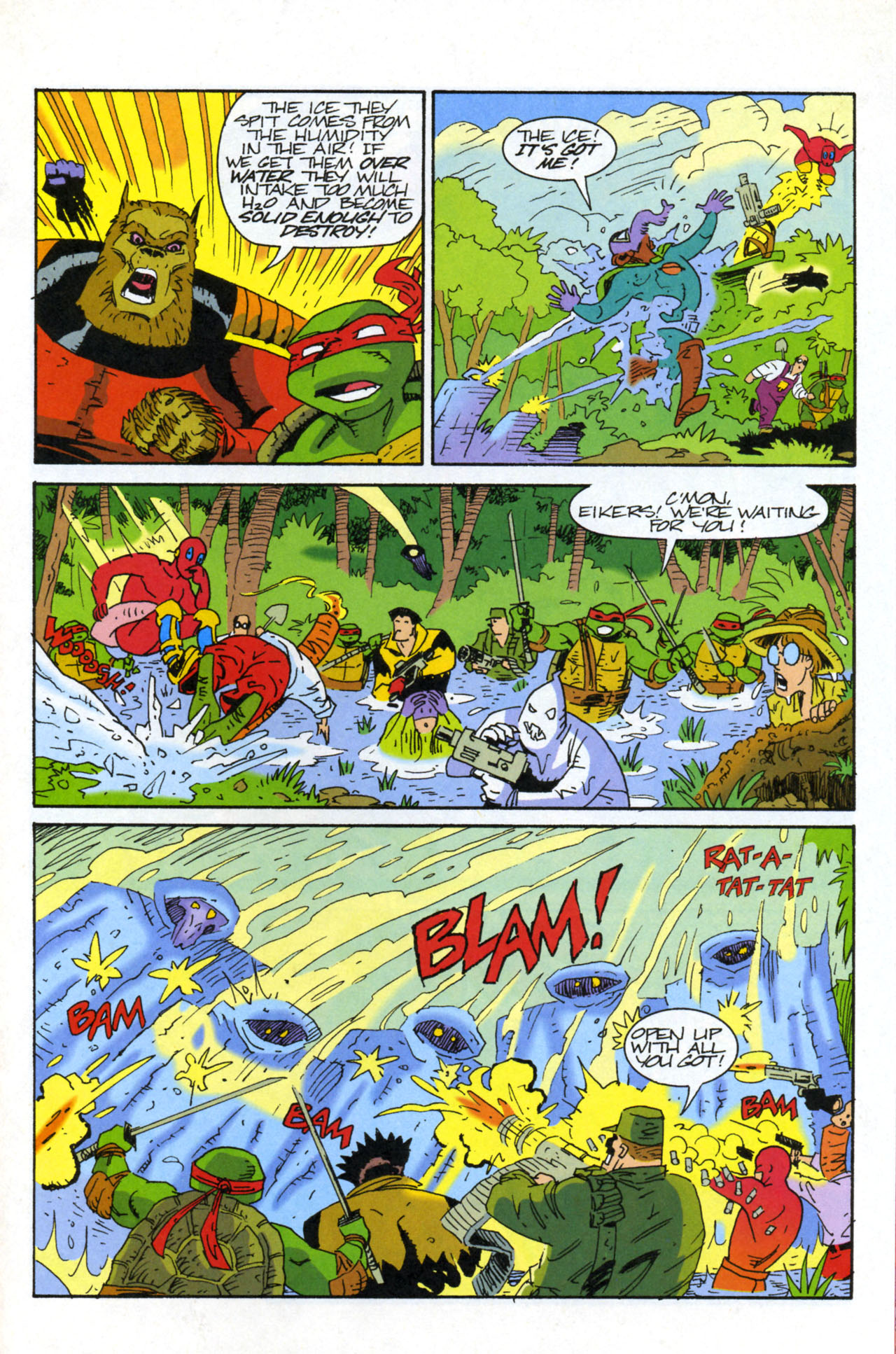 Teenage Mutant Ninja Turtles/Flaming Carrot Crossover Issue #4 #4 - English 23